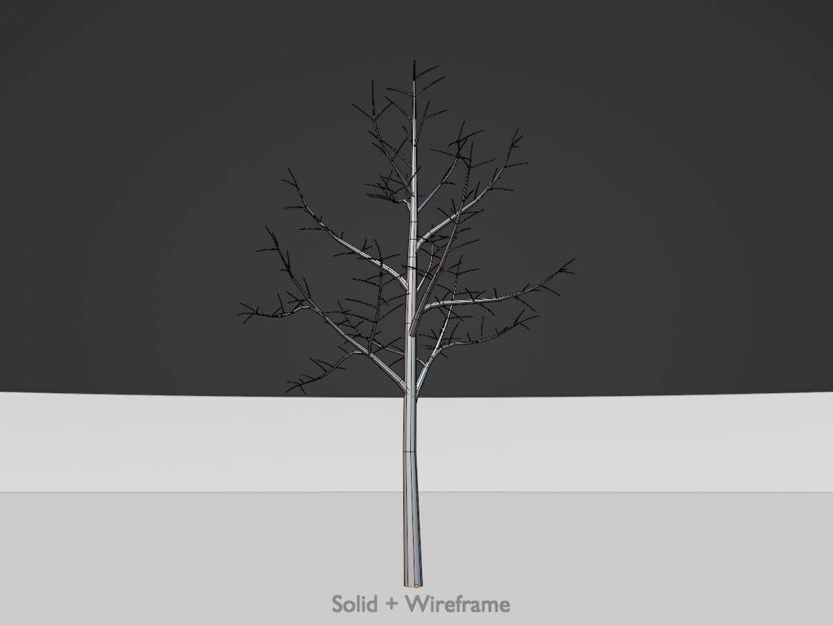 Empress tree winter 8000mm Low-poly 3D model_10