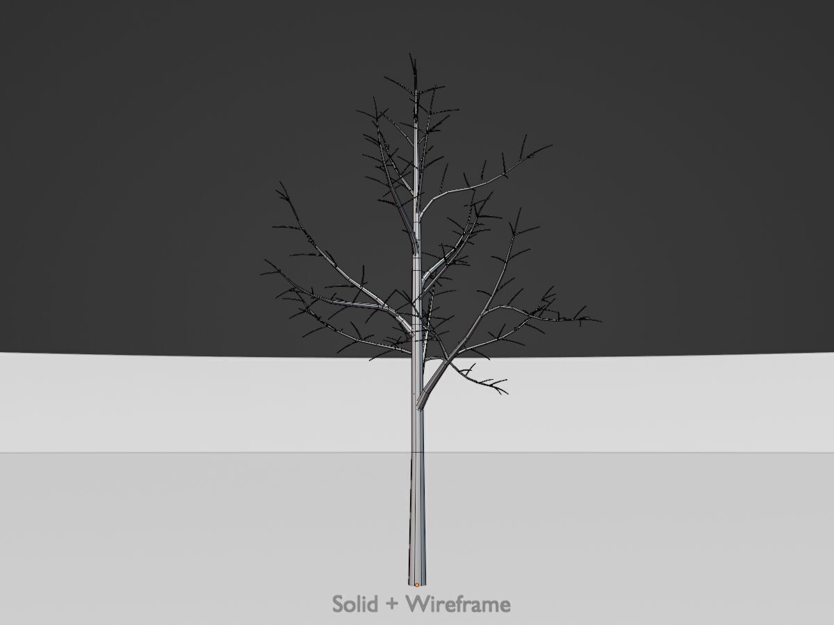Empress tree winter 8000mm Low-poly 3D model_11