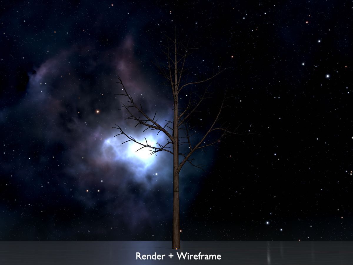 Empress tree winter 8000mm Low-poly 3D model_7