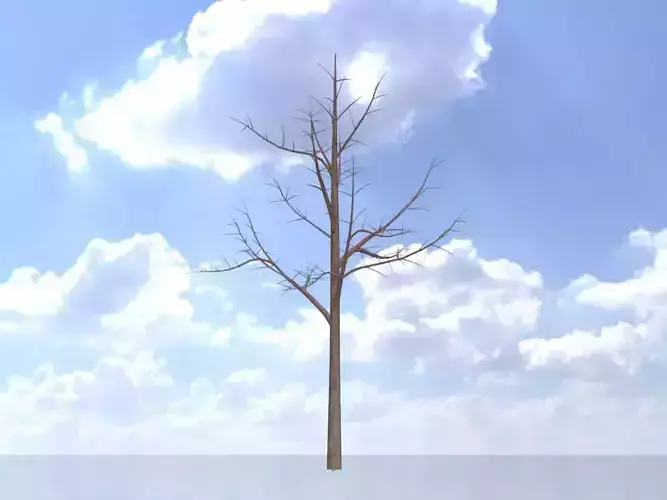 Empress tree winter 8000mm Low-poly 3D model