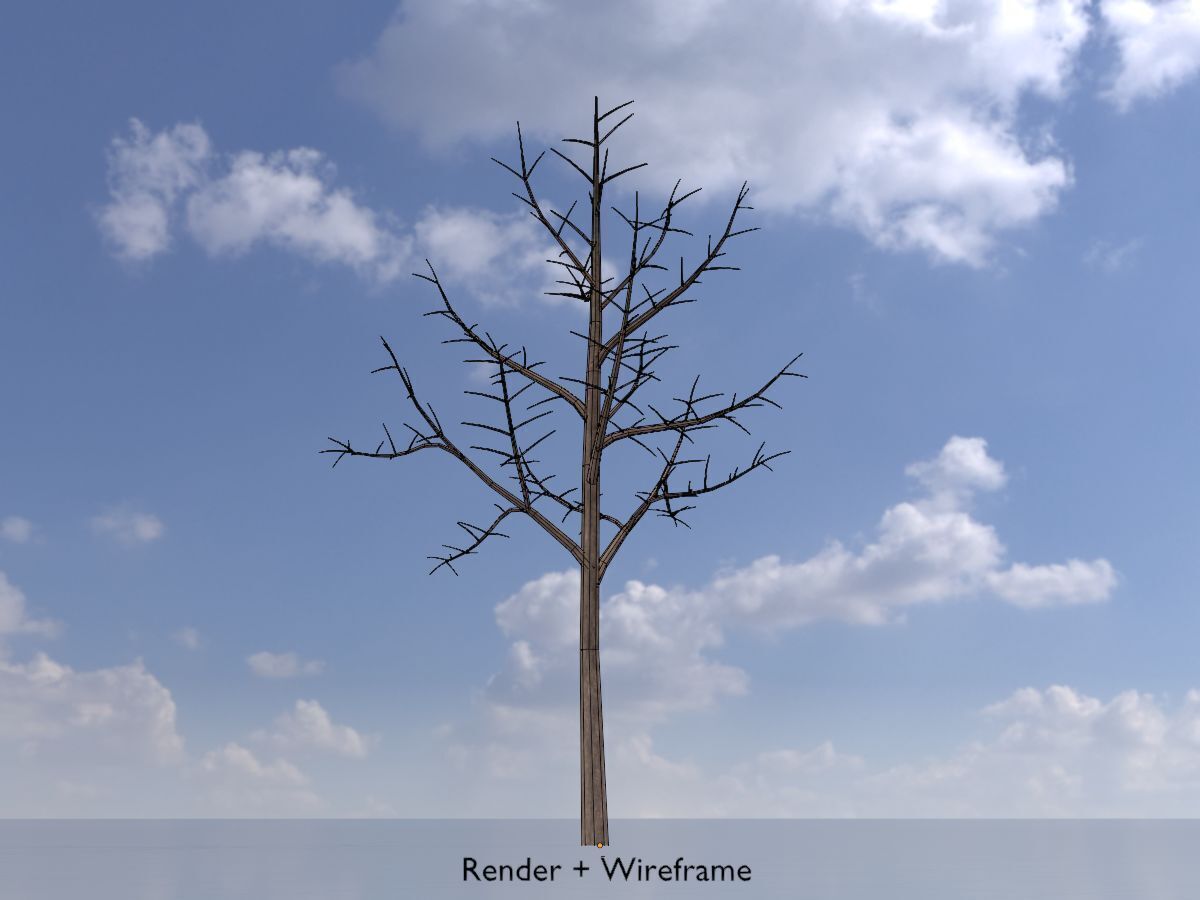 Empress tree winter 8000mm Low-poly 3D model_6