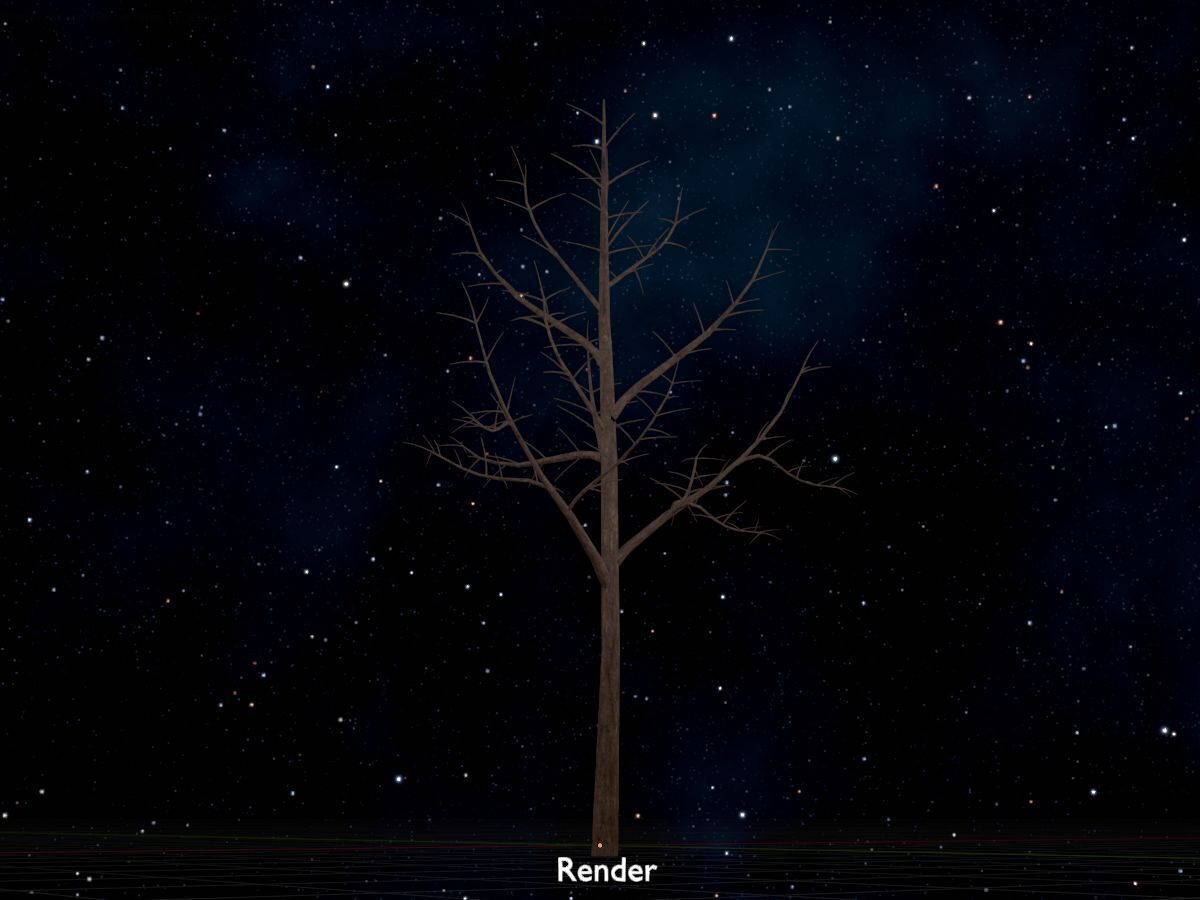 Empress tree winter 8000mm Low-poly 3D model_20