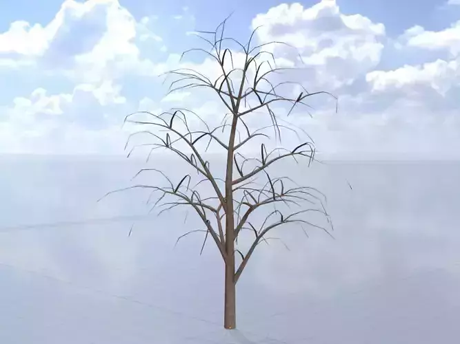 Empress tree winter 12000mm Low-poly 3D model
