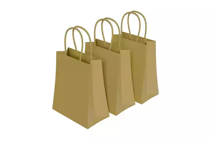 Paper Shopping Bag  