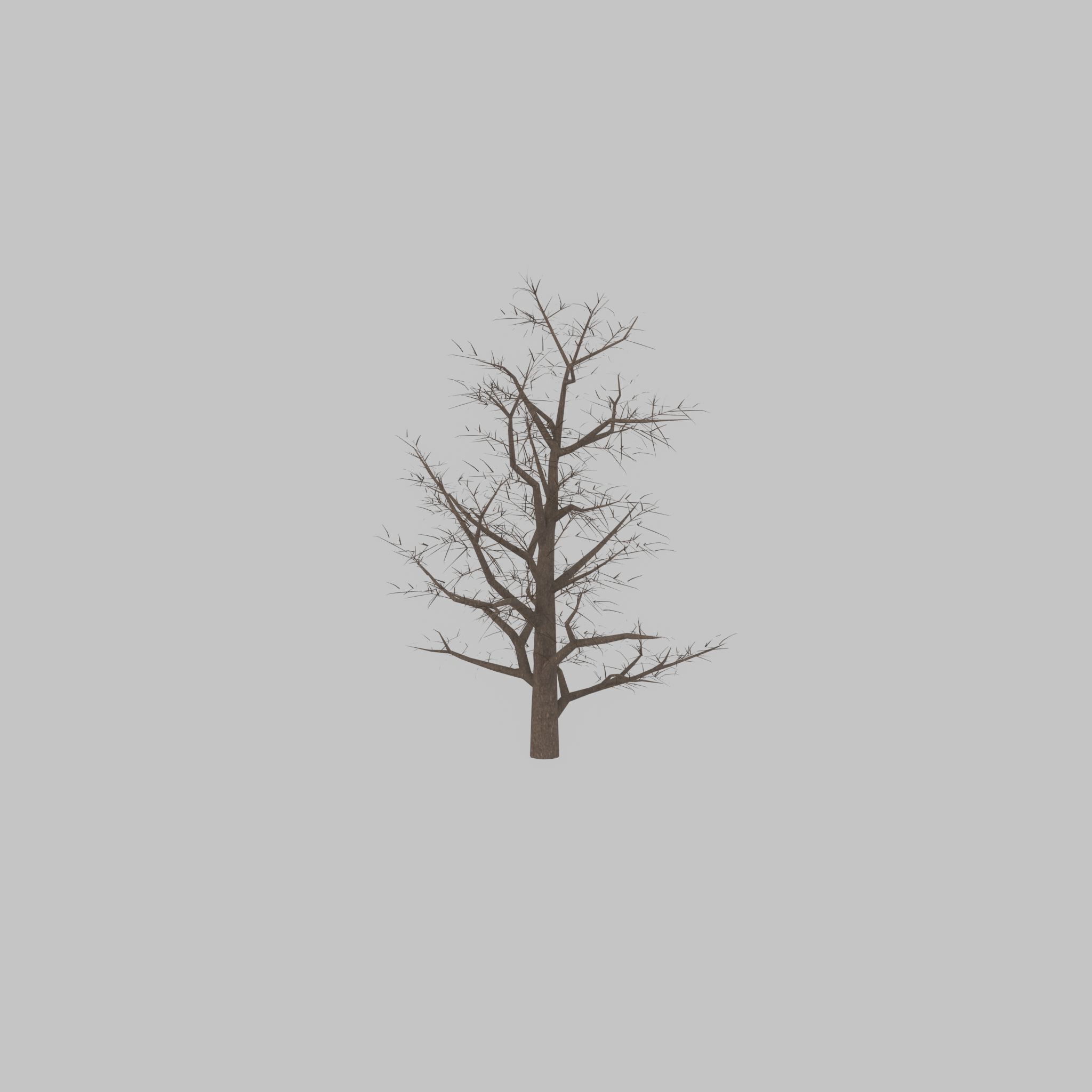 Empress tree winter 30000mm Low-poly 3D model_23