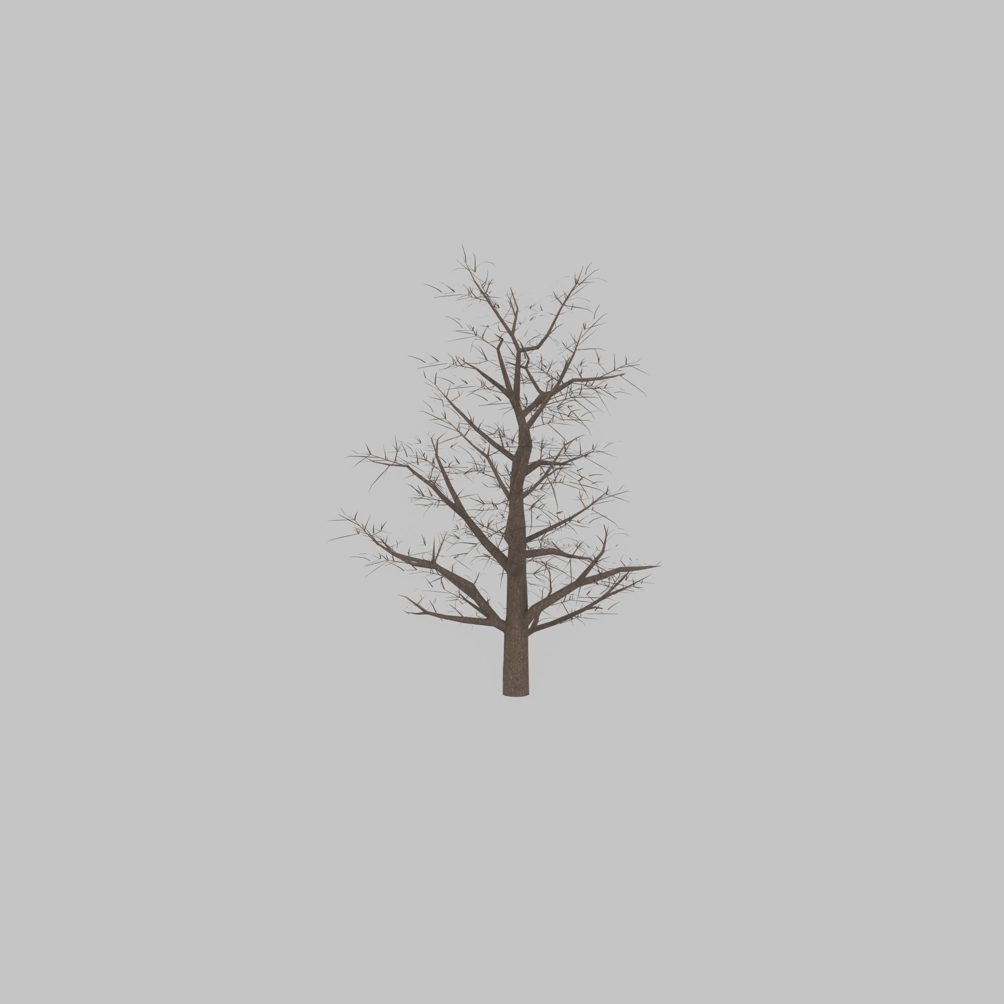 Empress tree winter 30000mm Low-poly 3D model_47