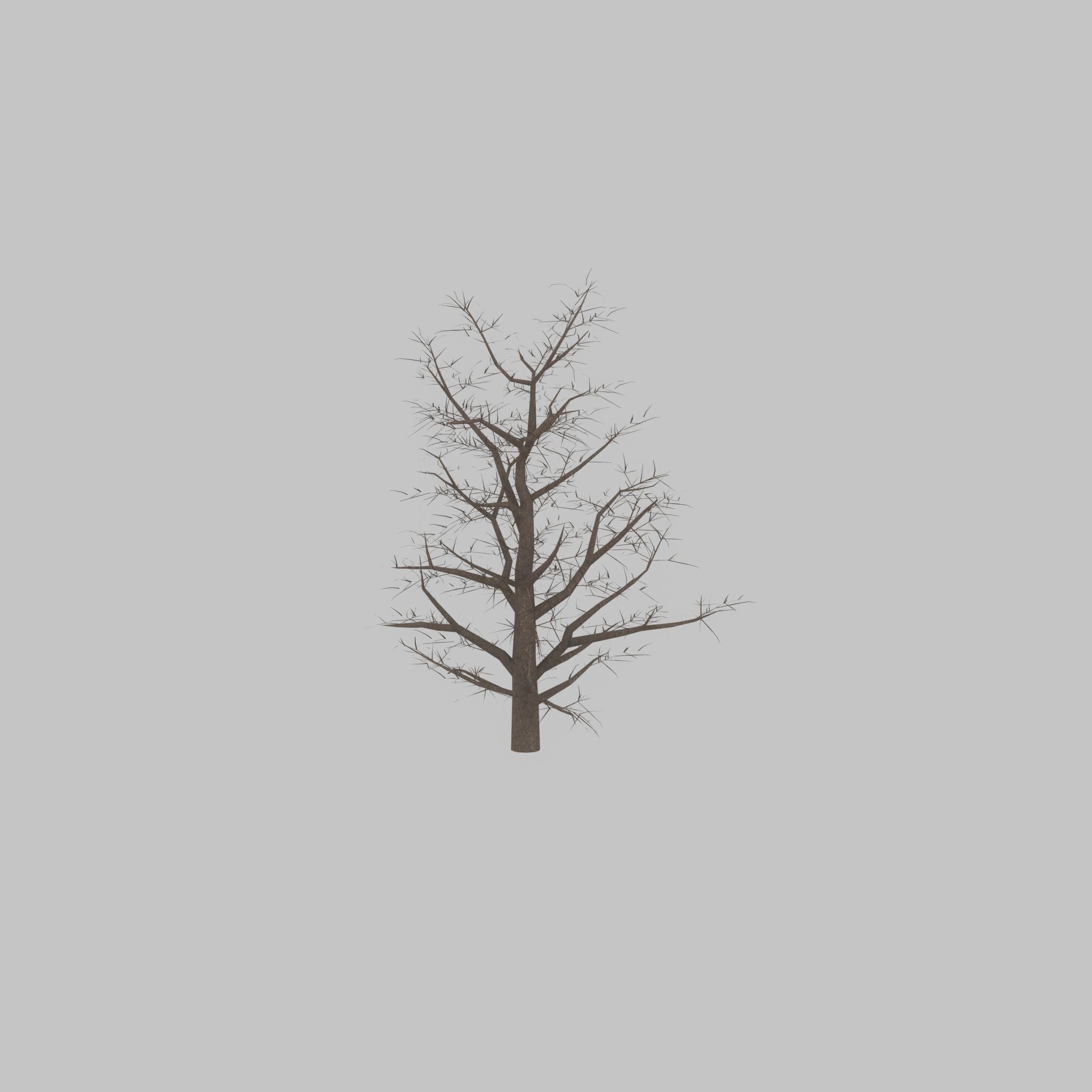 Empress tree winter 30000mm Low-poly 3D model_41