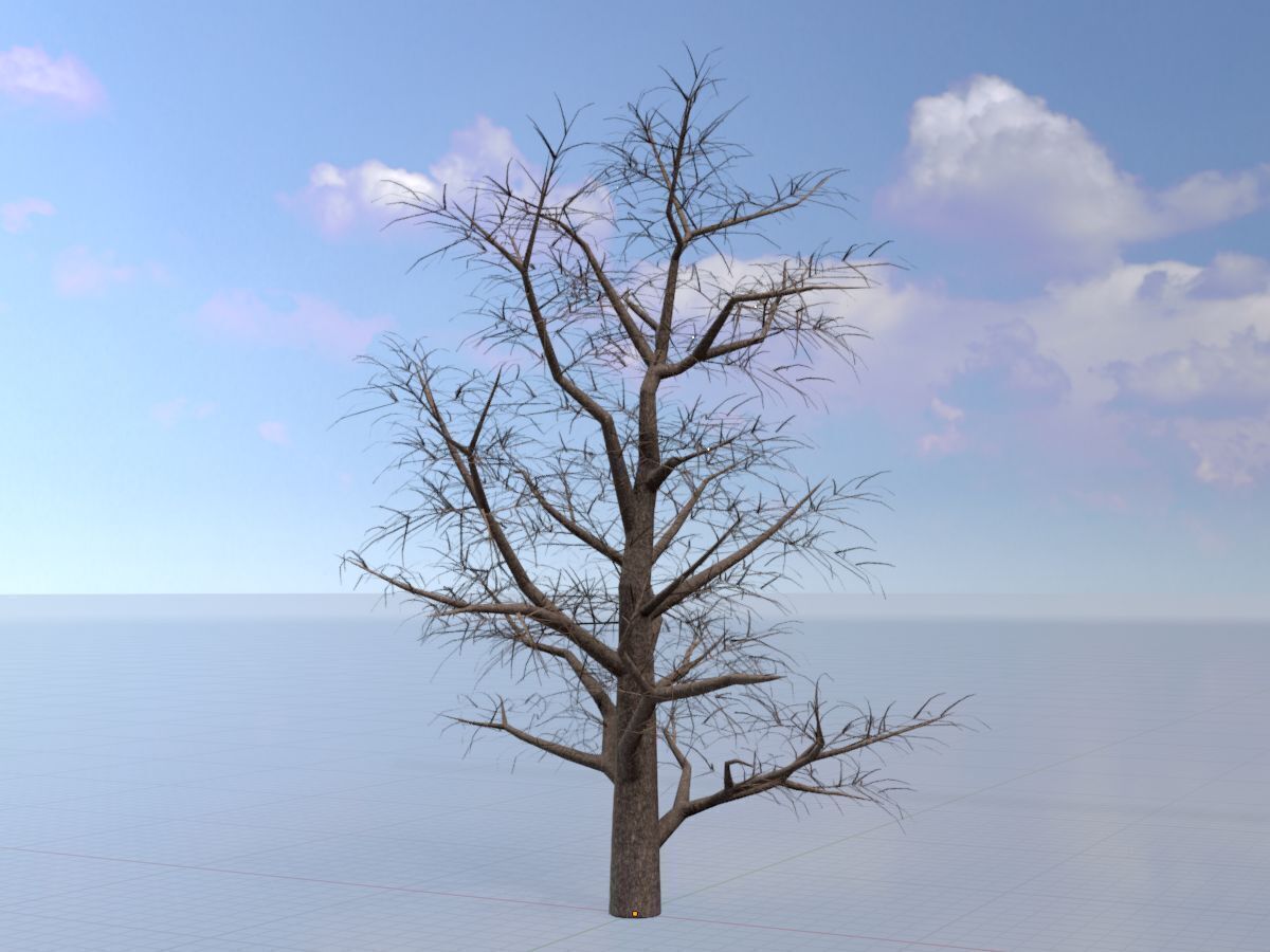 Empress tree winter 30000mm Low-poly 3D model_3