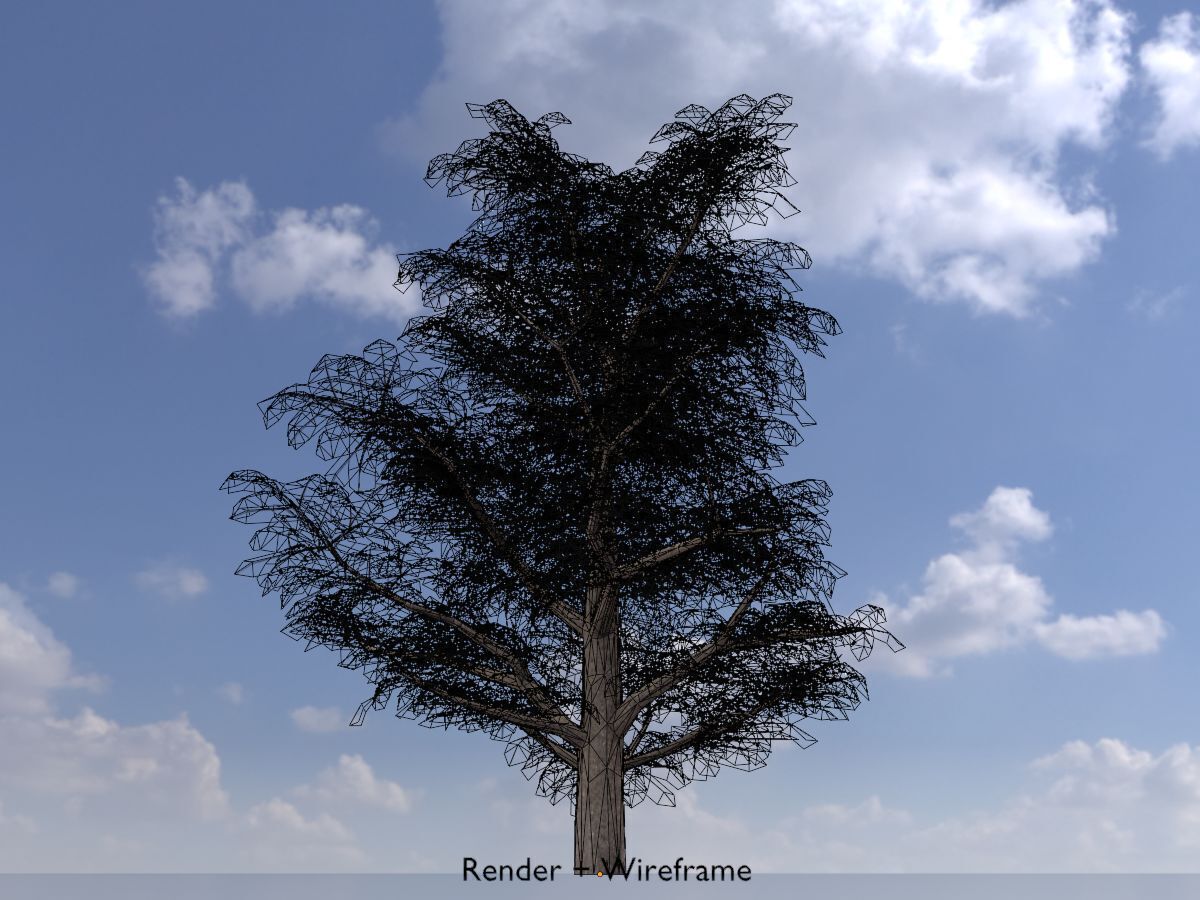 Empress tree winter 30000mm Low-poly 3D model_7