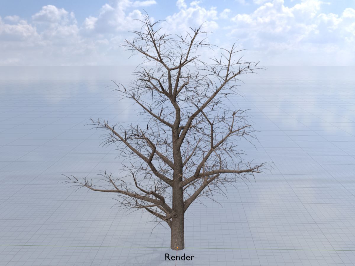 Empress tree winter 30000mm Low-poly 3D model_10