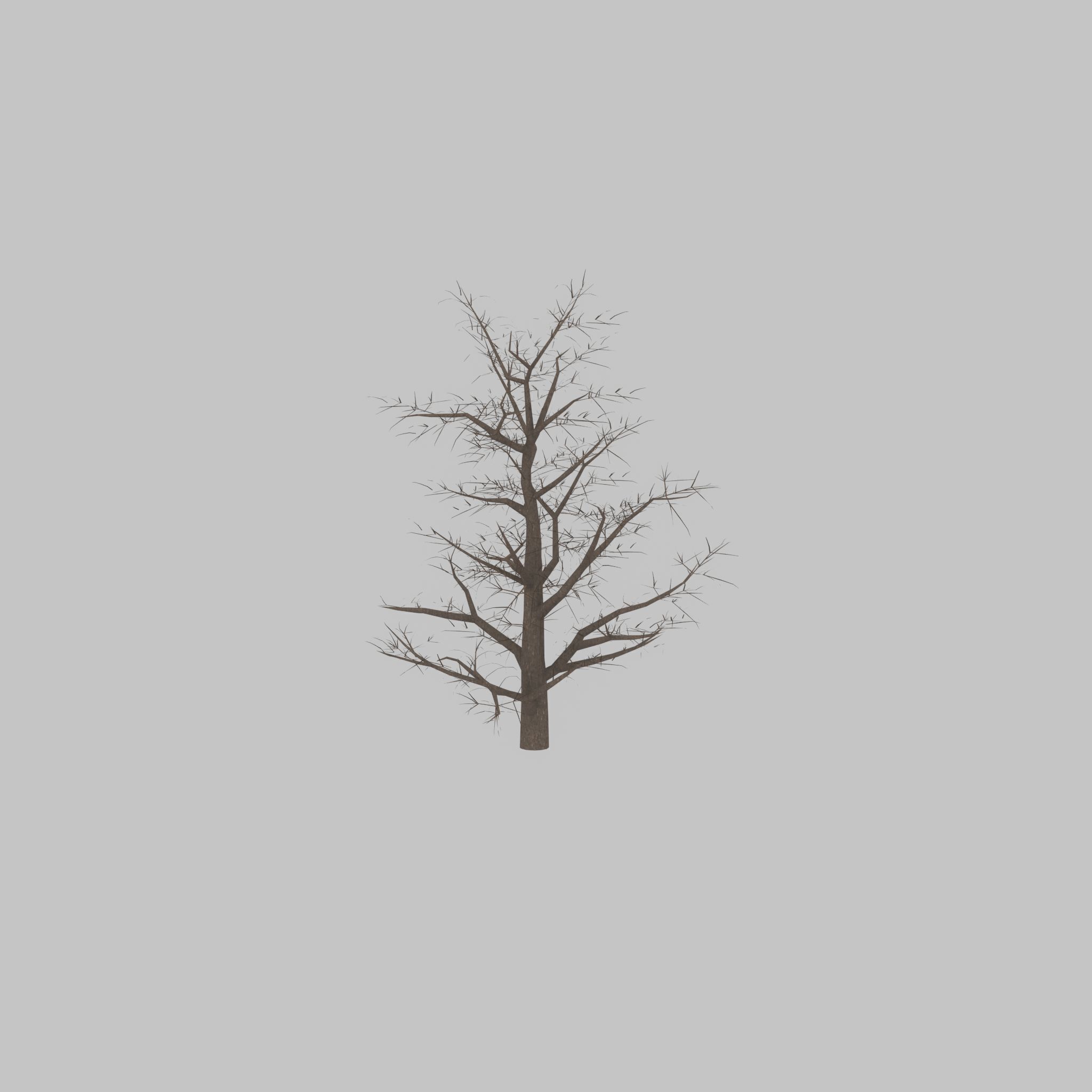 Empress tree winter 30000mm Low-poly 3D model_29