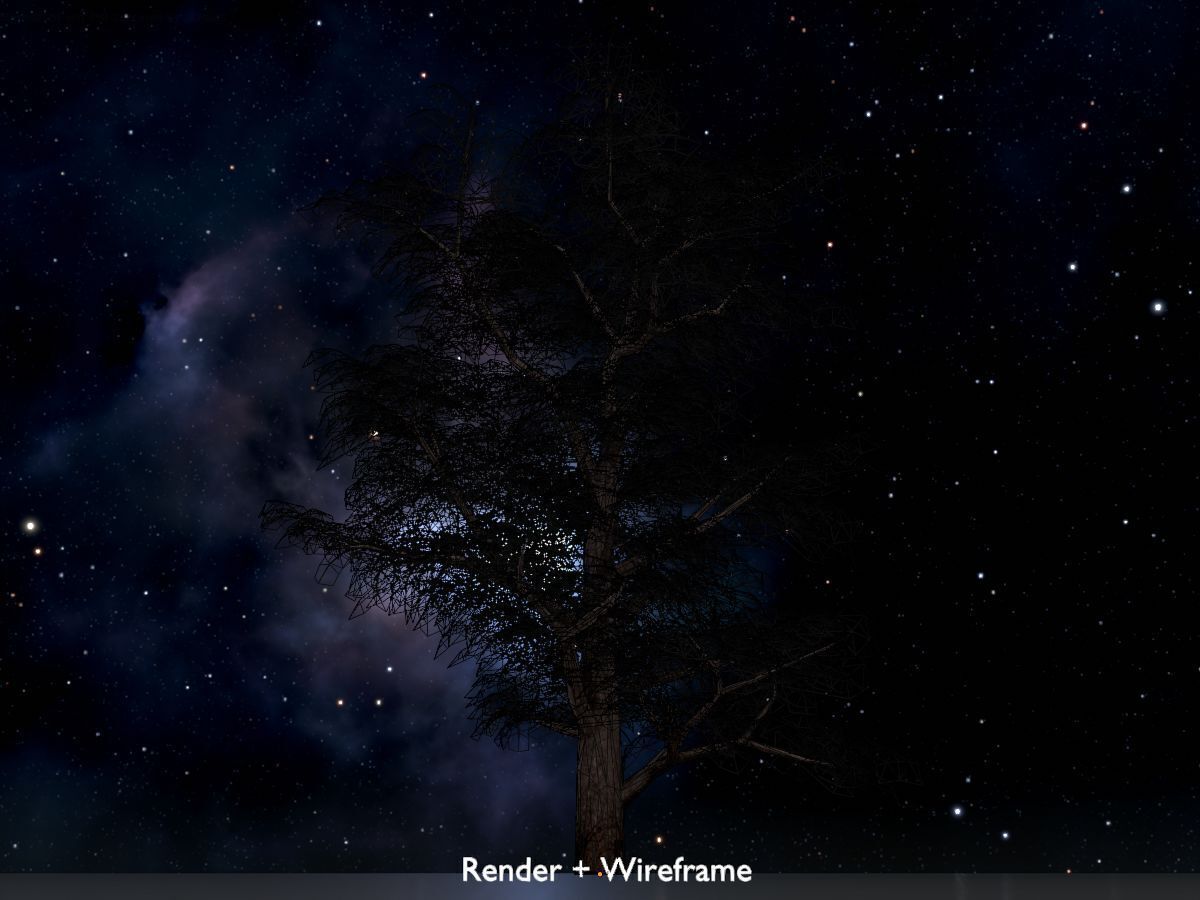 Empress tree winter 30000mm Low-poly 3D model_15