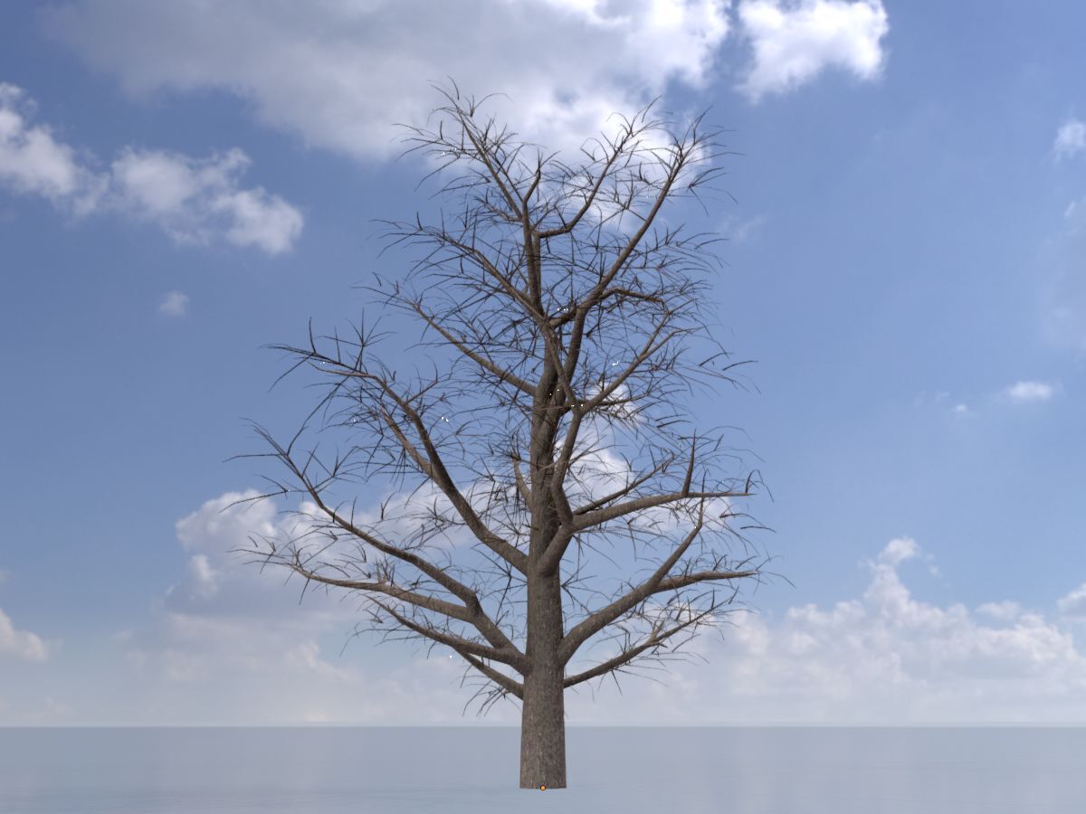 Empress tree winter 30000mm Low-poly 3D model_20