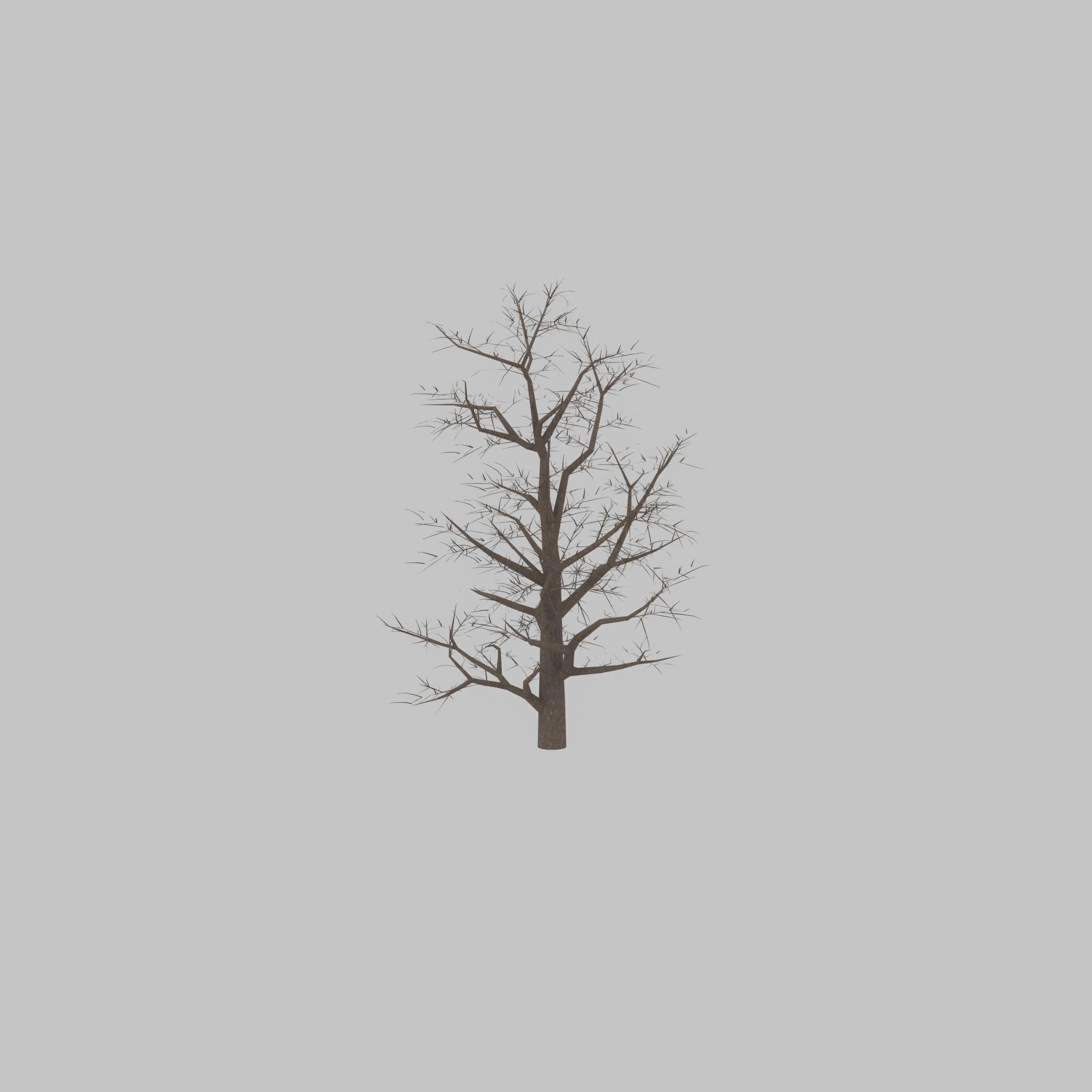 Empress tree winter 30000mm Low-poly 3D model_21