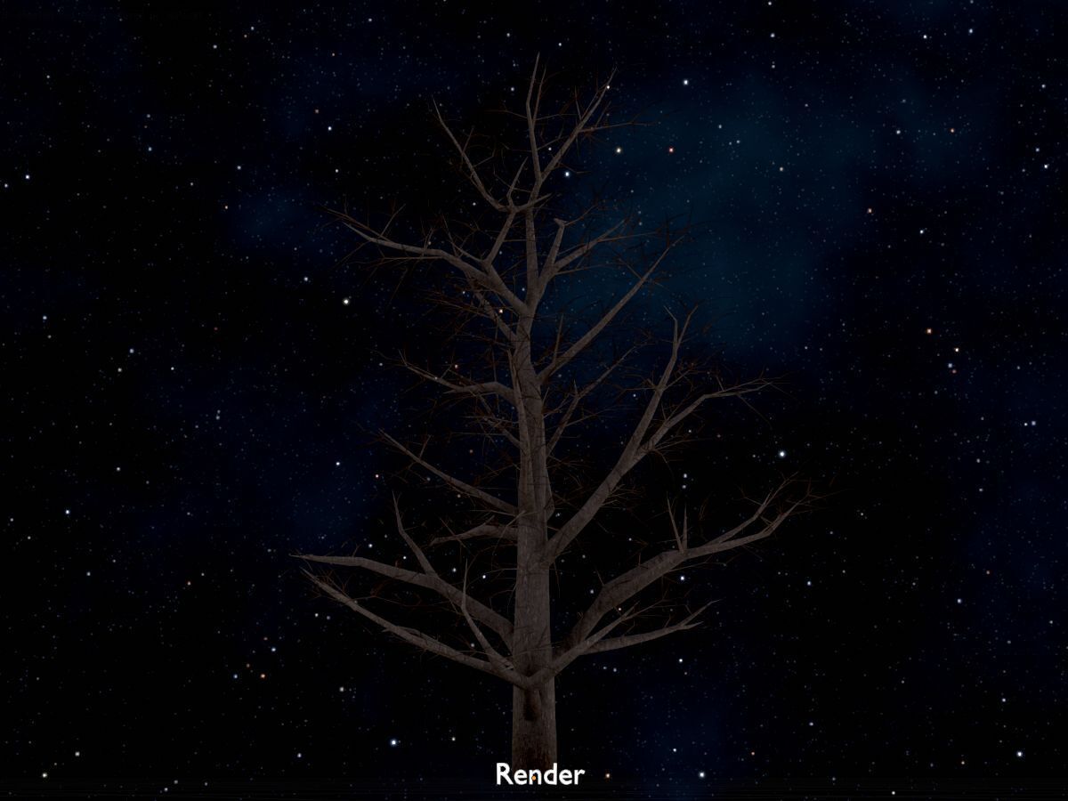 Empress tree winter 30000mm Low-poly 3D model_18