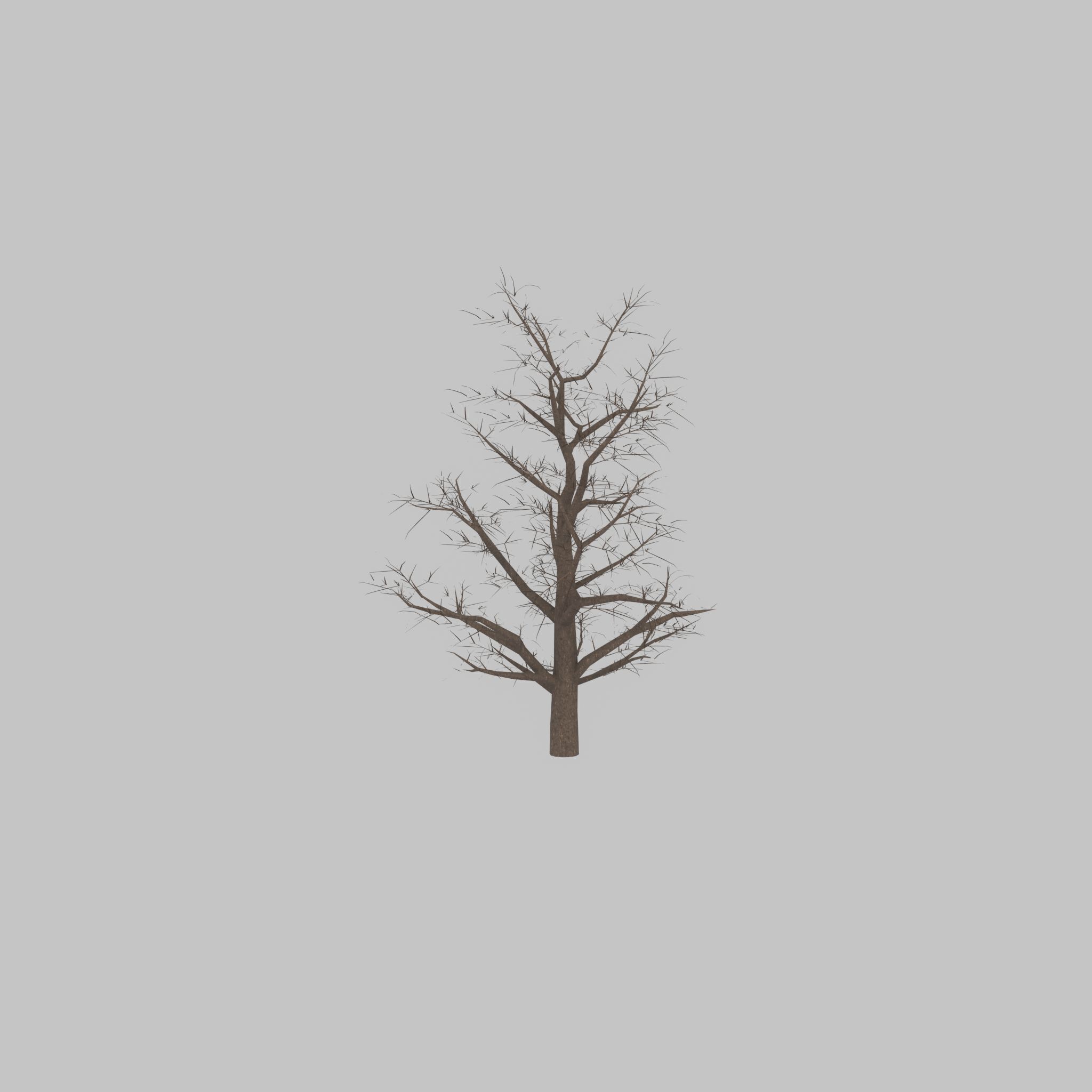 Empress tree winter 30000mm Low-poly 3D model_42