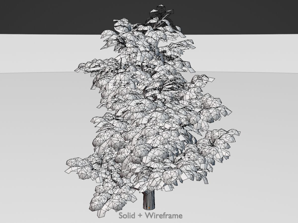 Empress tree winter 30000mm Low-poly 3D model_12