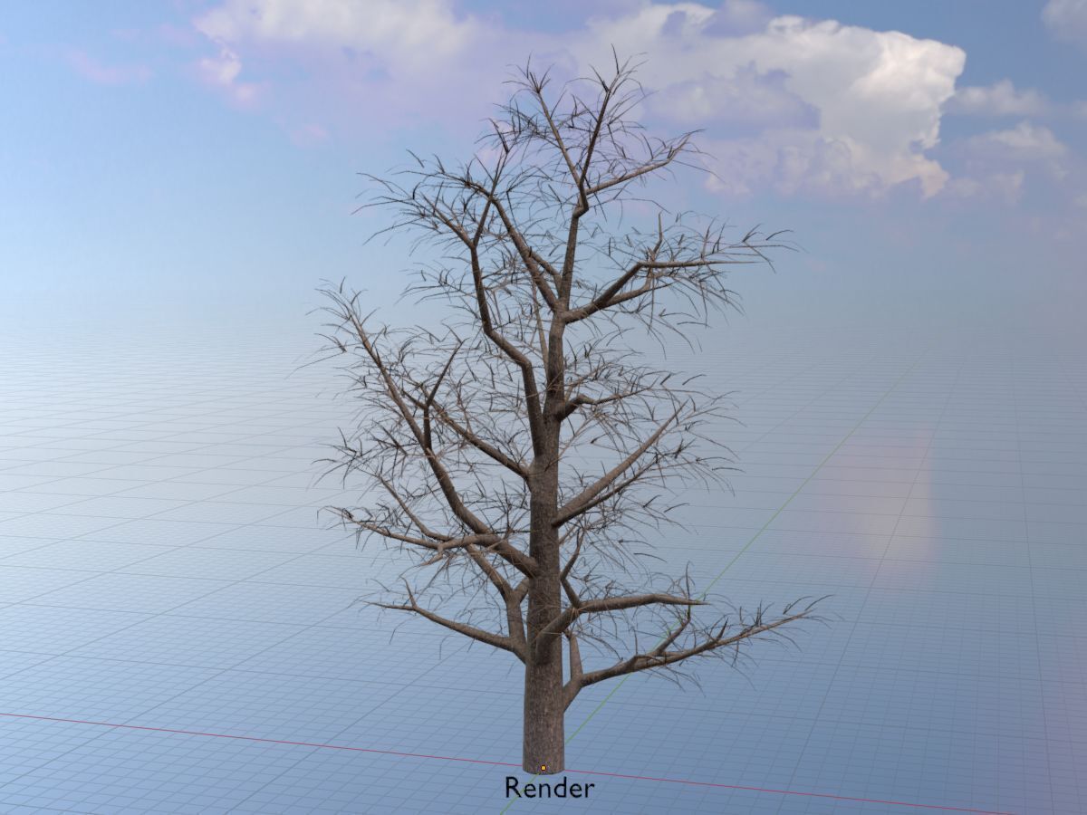 Empress tree winter 30000mm Low-poly 3D model_4