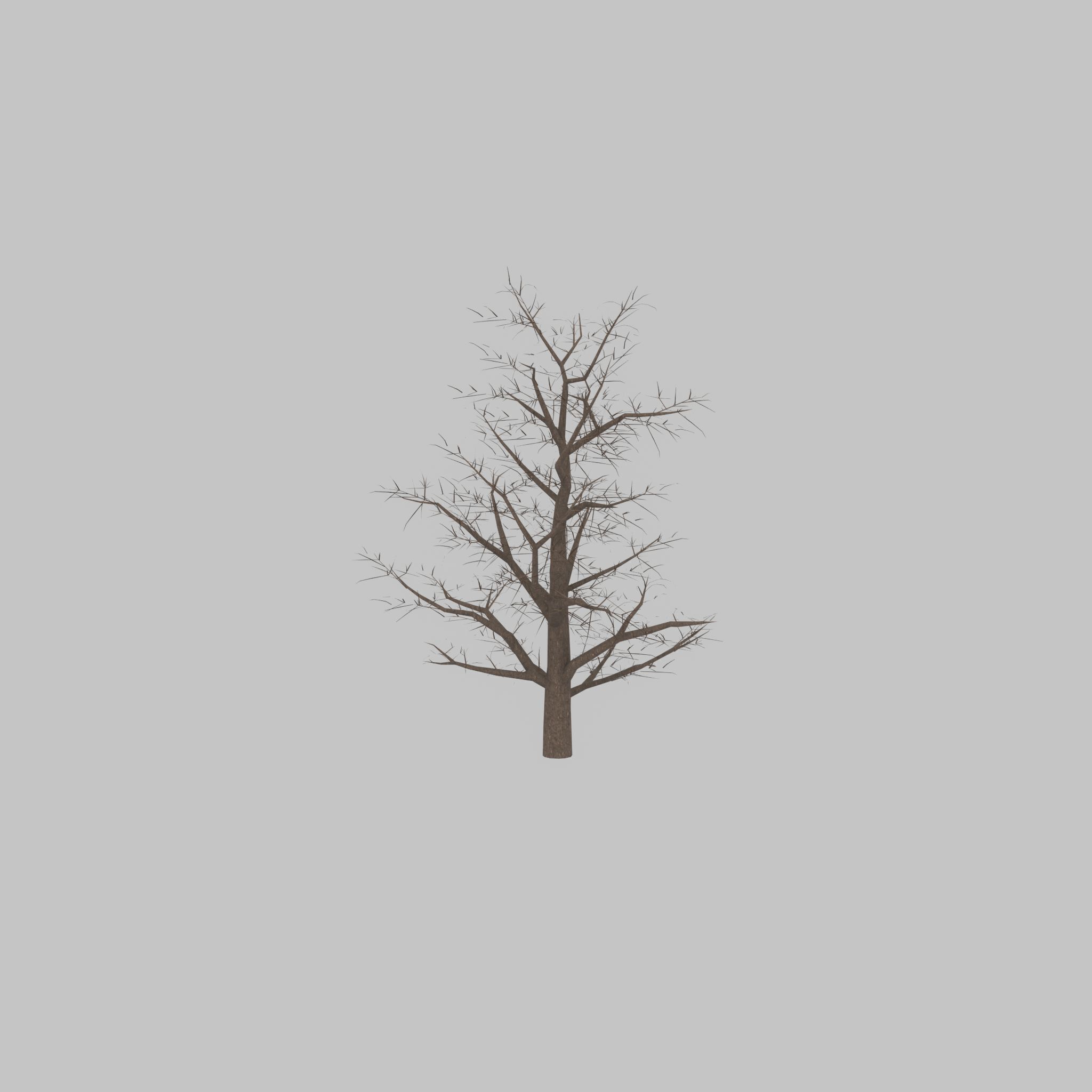 Empress tree winter 30000mm Low-poly 3D model_39