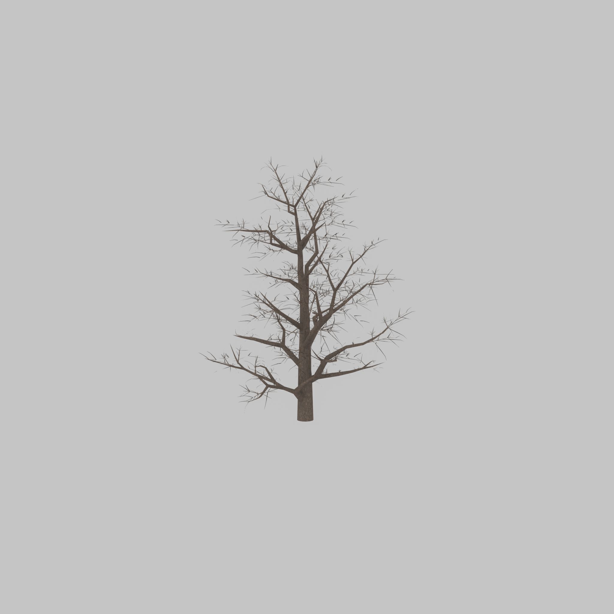 Empress tree winter 30000mm Low-poly 3D model_31