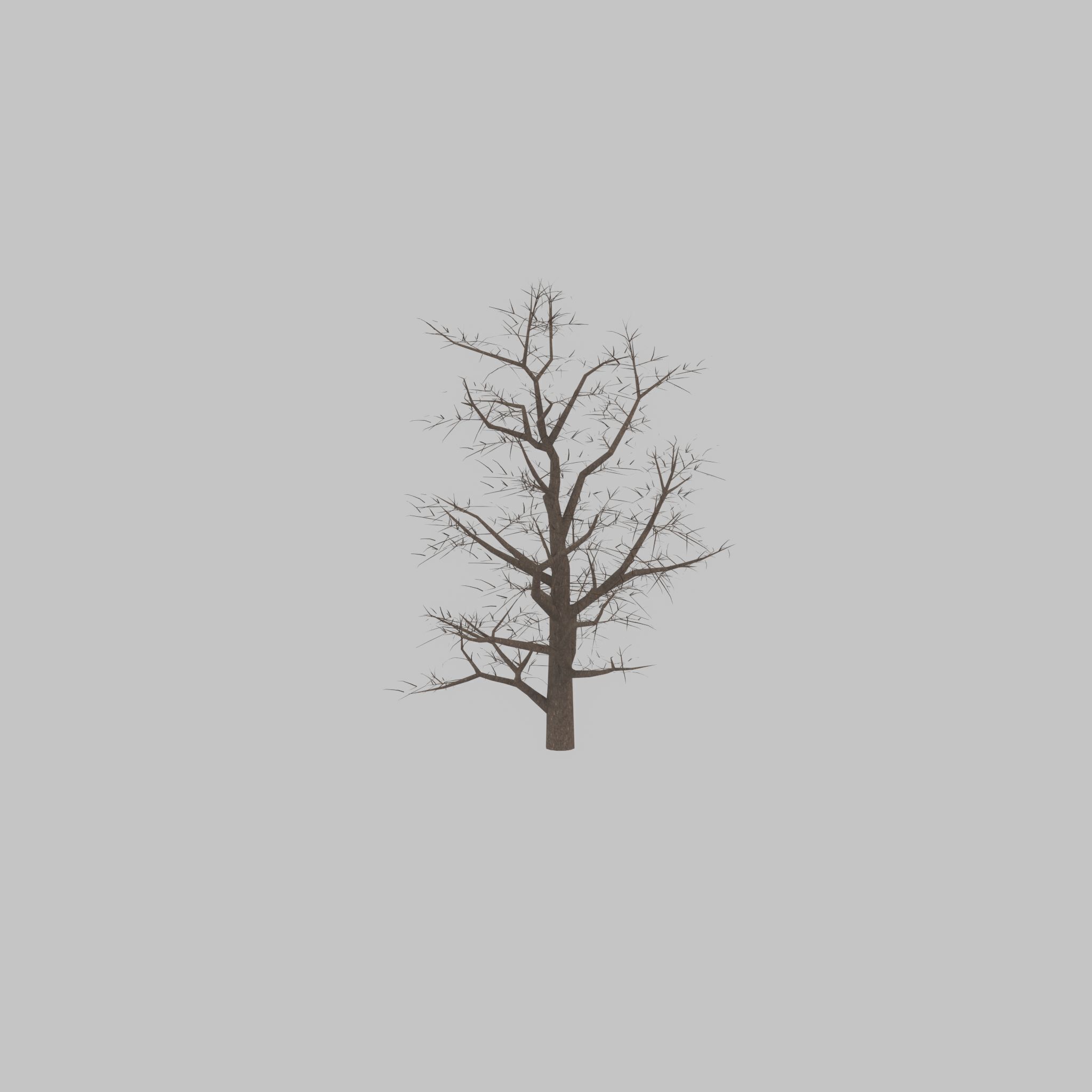 Empress tree winter 30000mm Low-poly 3D model_48