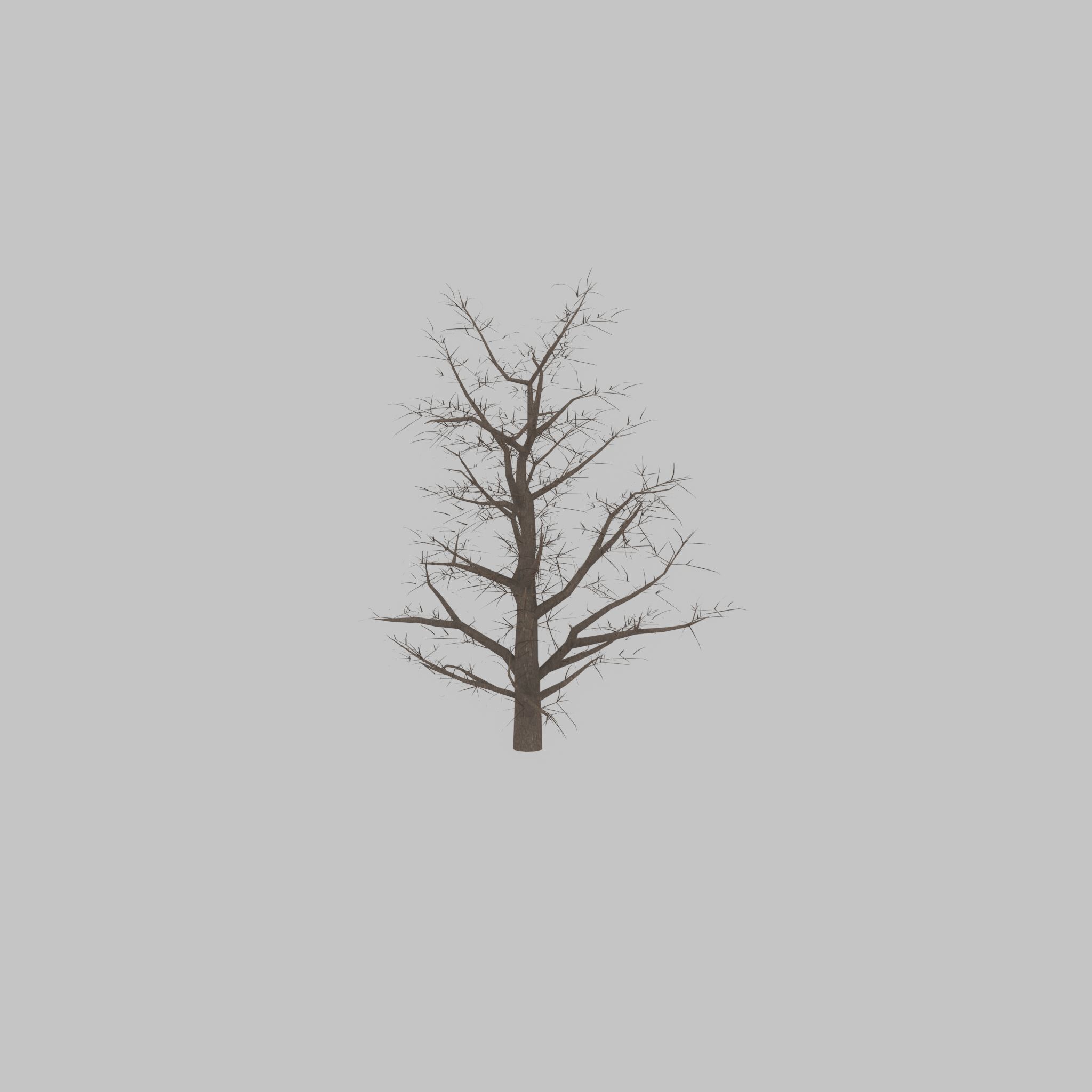 Empress tree winter 30000mm Low-poly 3D model_34