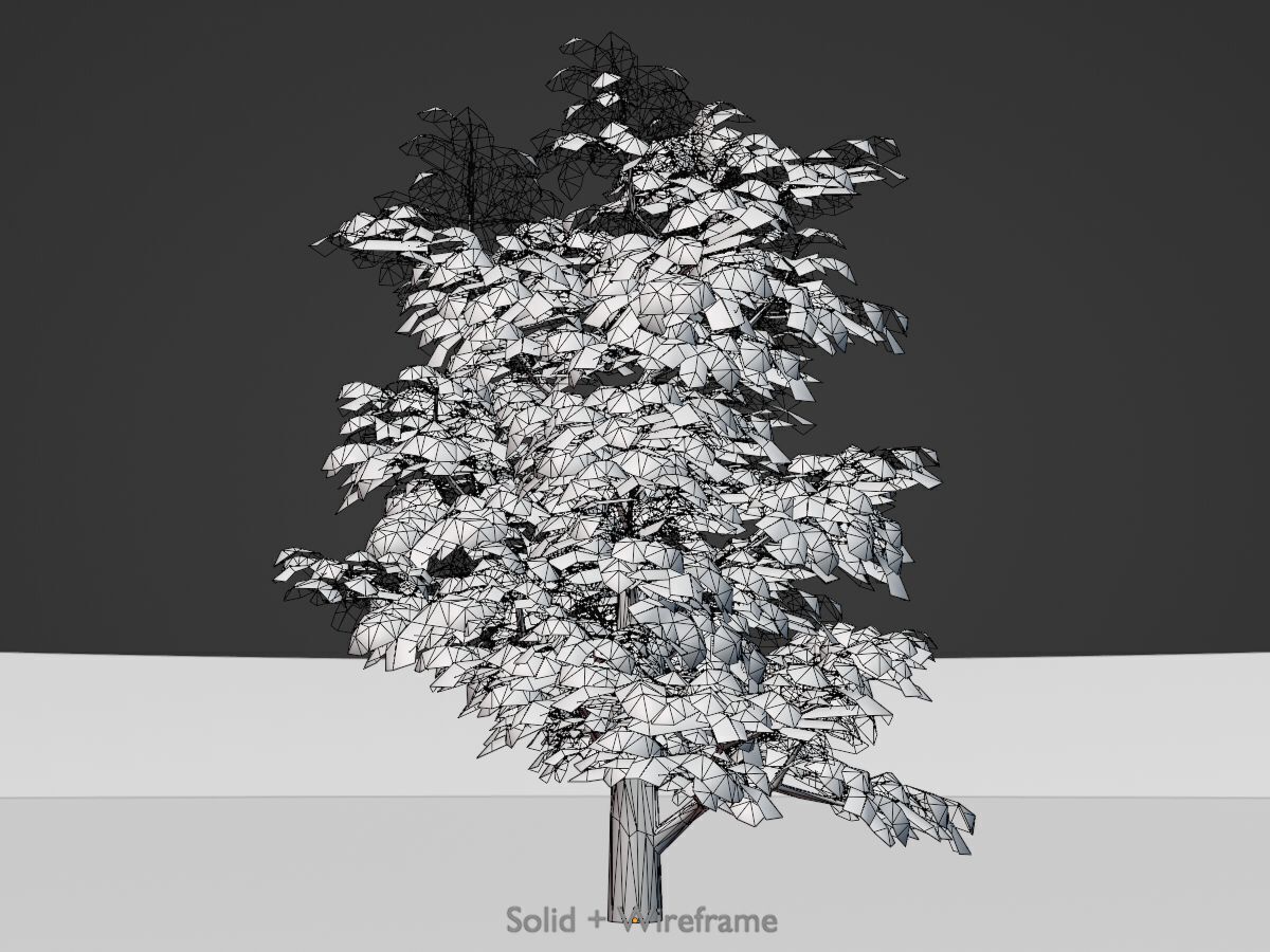 Empress tree winter 30000mm Low-poly 3D model_11