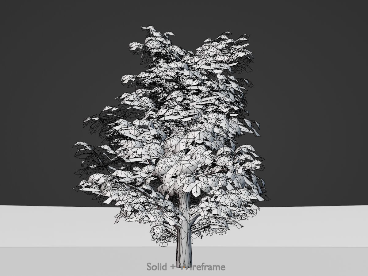 Empress tree winter 30000mm Low-poly 3D model_8