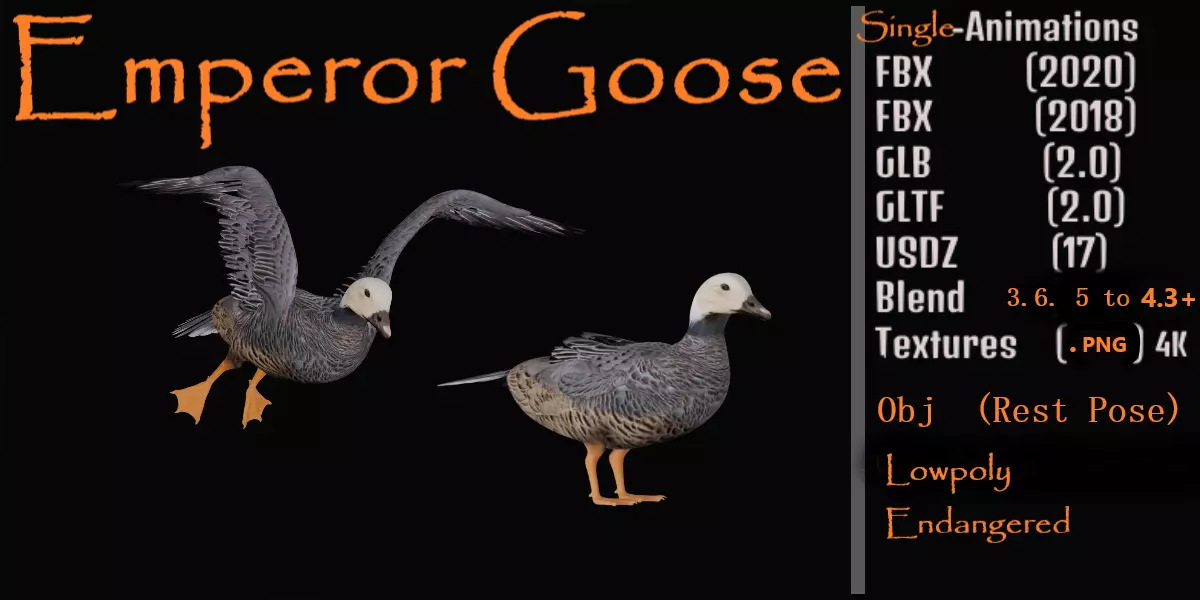 Emperor Goose Bird Low-poly 3D model_0