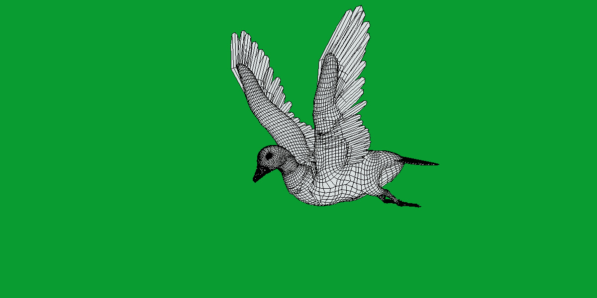 Emperor Goose Bird Low-poly 3D model_11