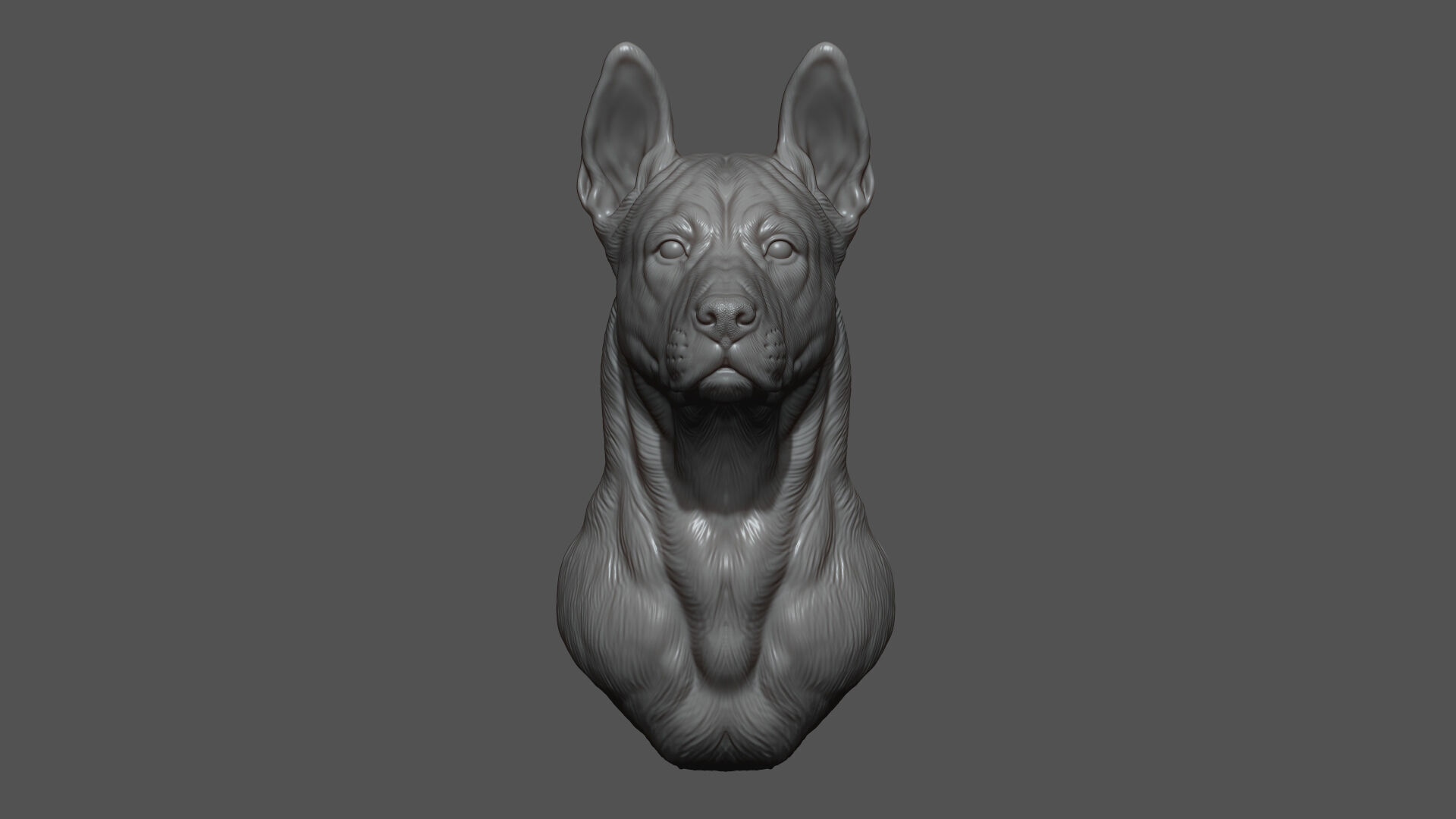 Thai Ridgeback dog head 3D print model_5