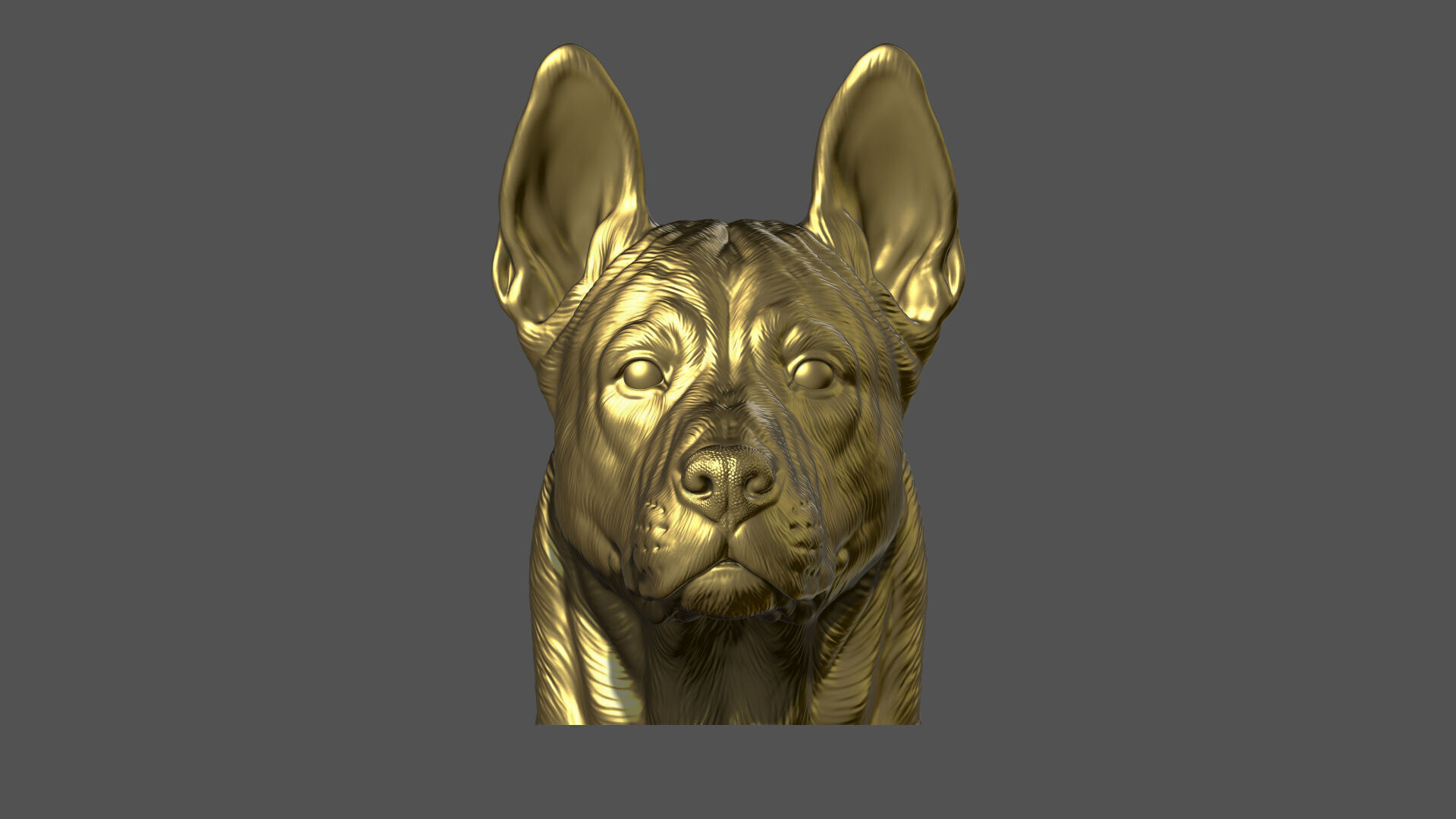 Thai Ridgeback dog head 3D print model_15
