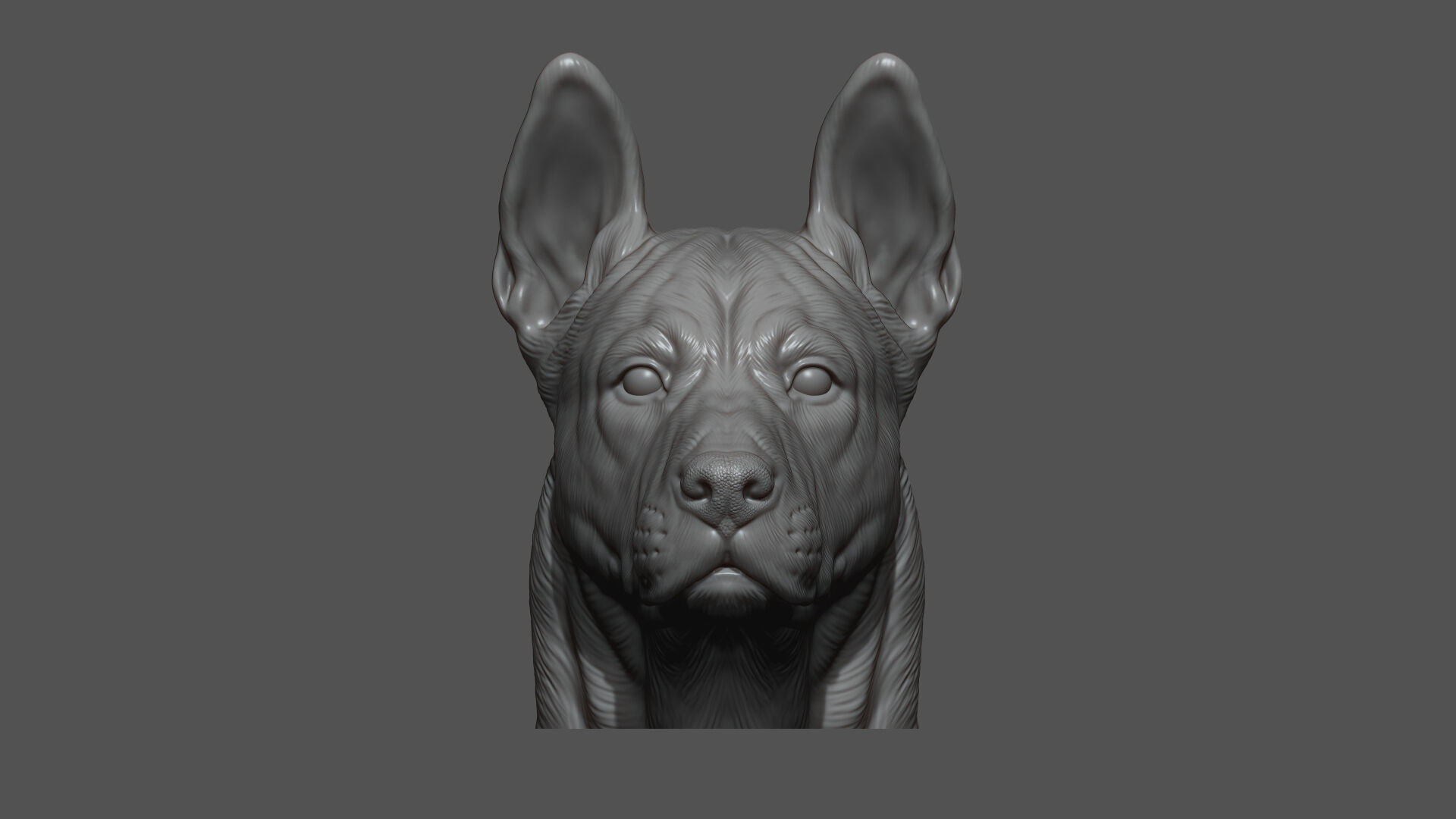 Thai Ridgeback dog head 3D print model_9