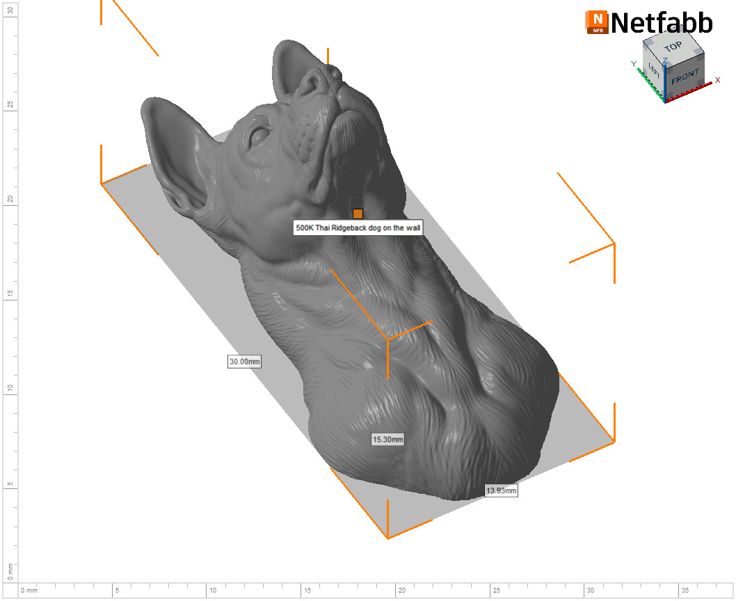 Thai Ridgeback dog head 3D print model_26