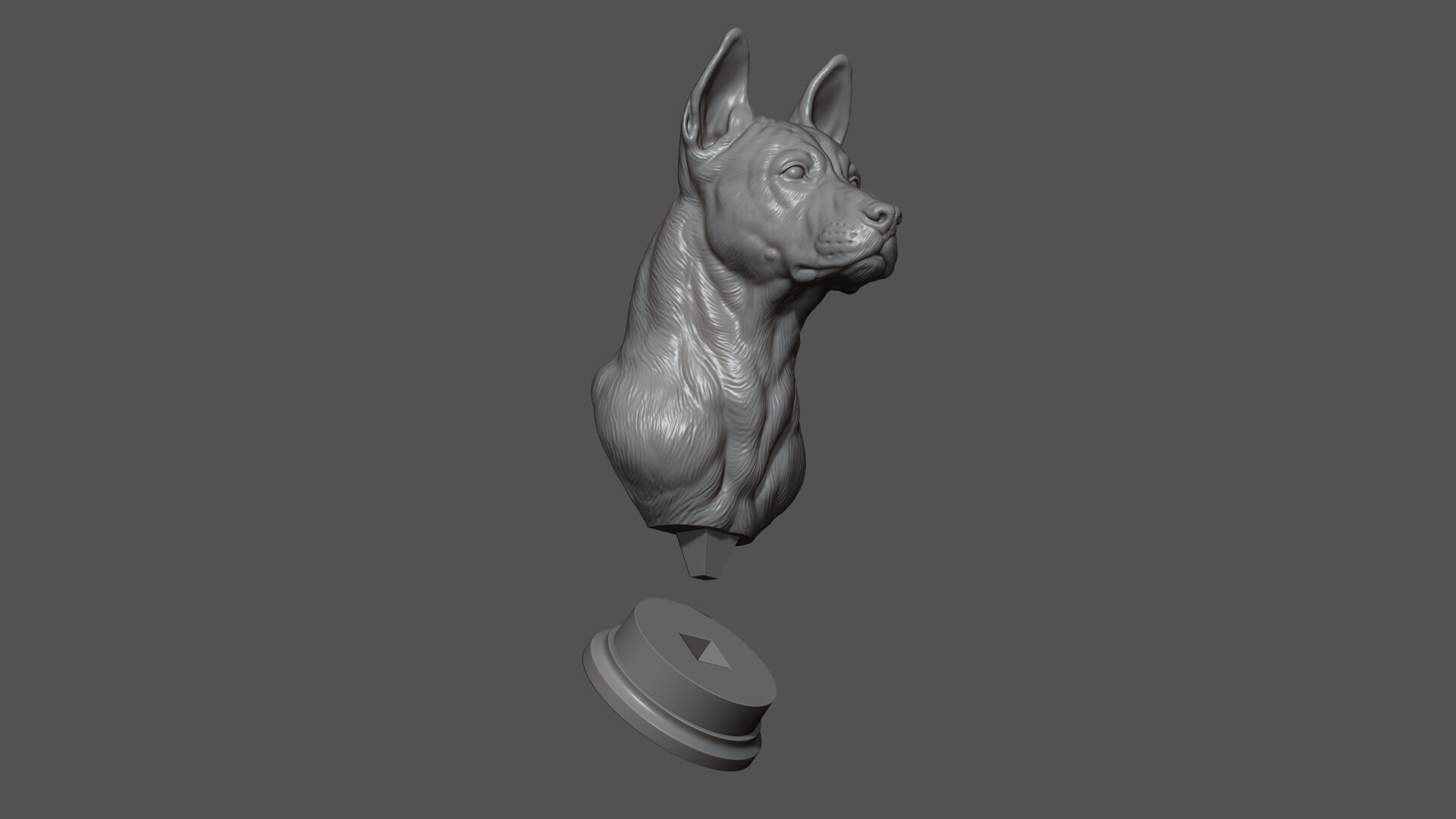 Thai Ridgeback dog head 3D print model_16