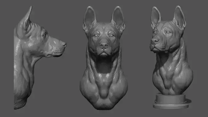 Thai Ridgeback dog head