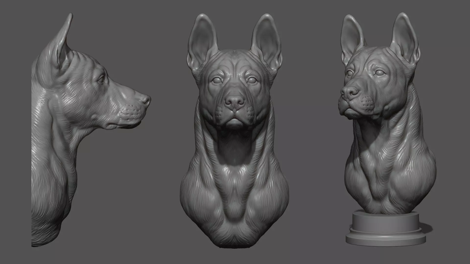 Thai Ridgeback dog head 3D print model_0
