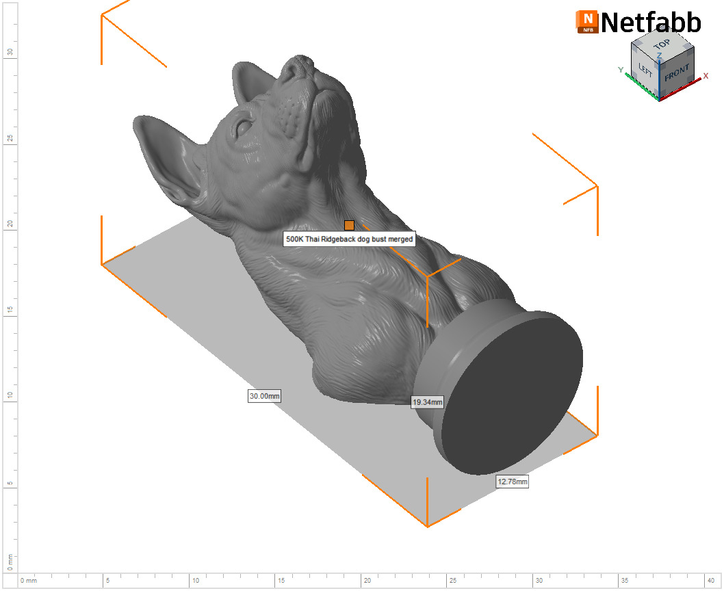 Thai Ridgeback dog head 3D print model_24