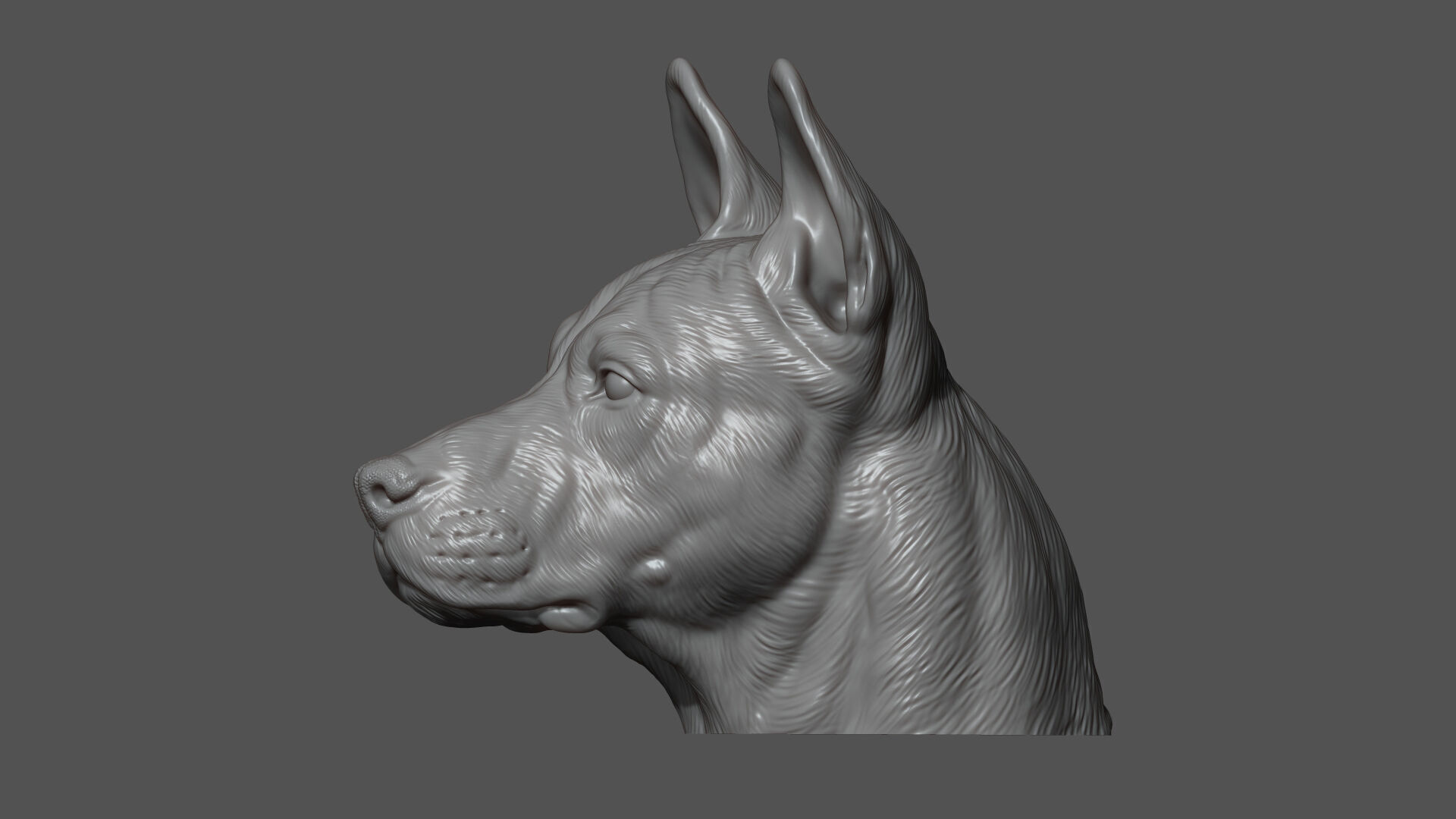 Thai Ridgeback dog head 3D print model_11