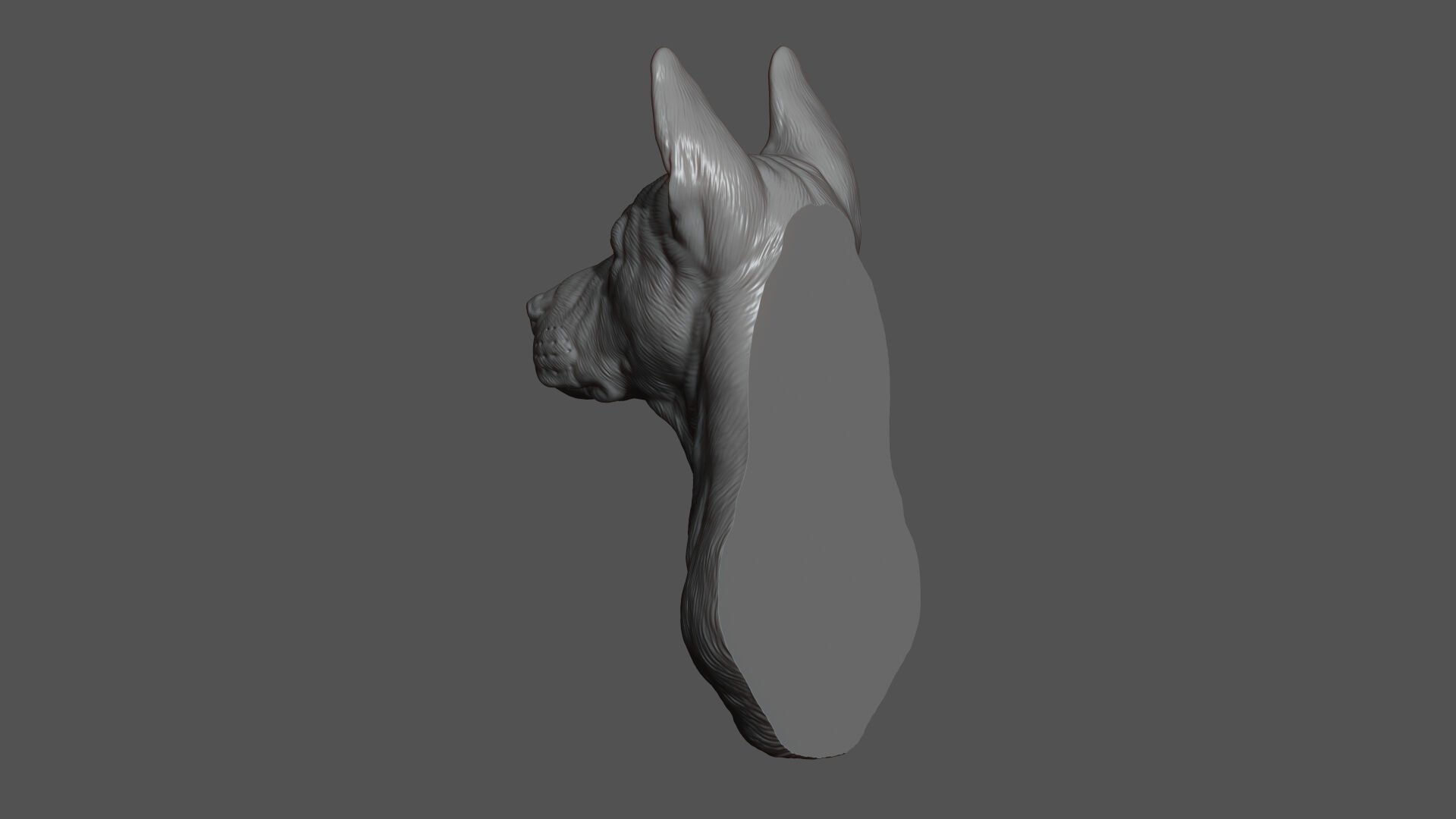 Thai Ridgeback dog head 3D print model_8