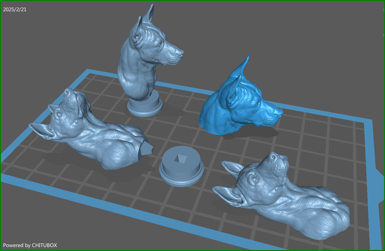 Thai Ridgeback dog head 3D print model_1