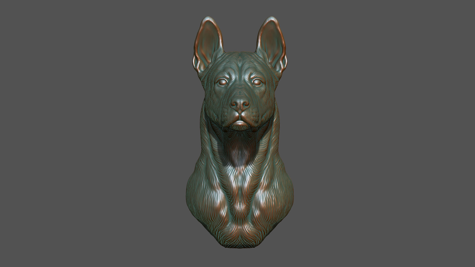 Thai Ridgeback dog head 3D print model_2