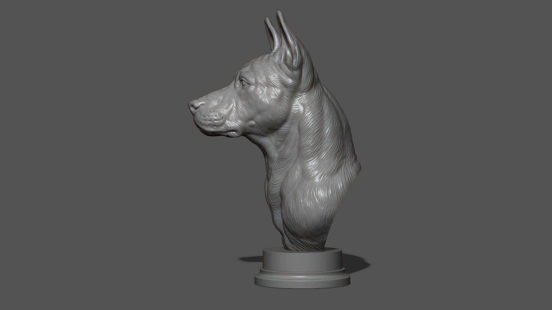 Thai Ridgeback dog head 3D print model_19