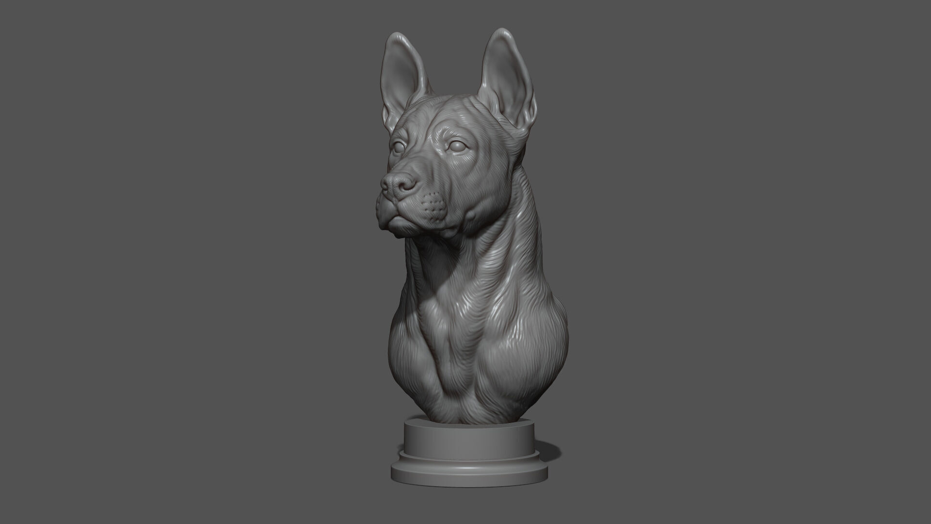 Thai Ridgeback dog head 3D print model_18