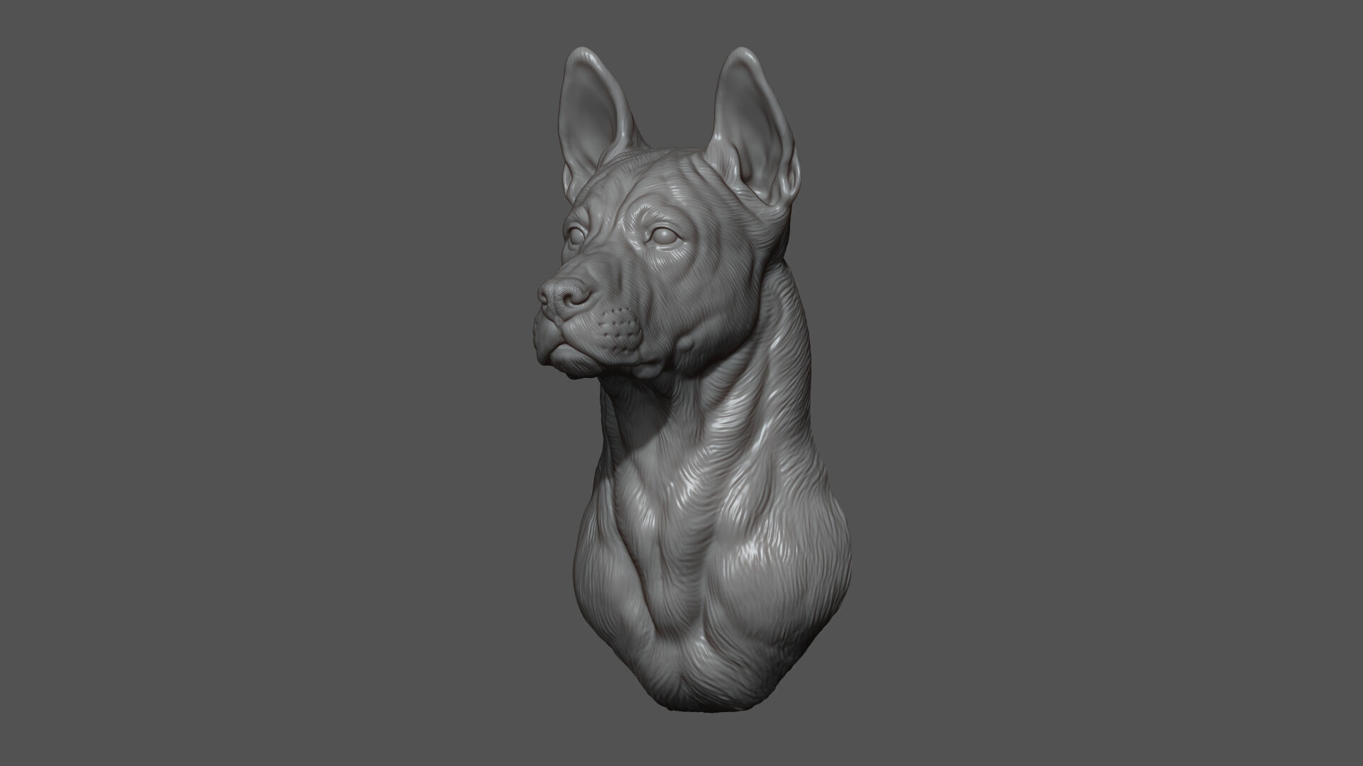 Thai Ridgeback dog head 3D print model_6