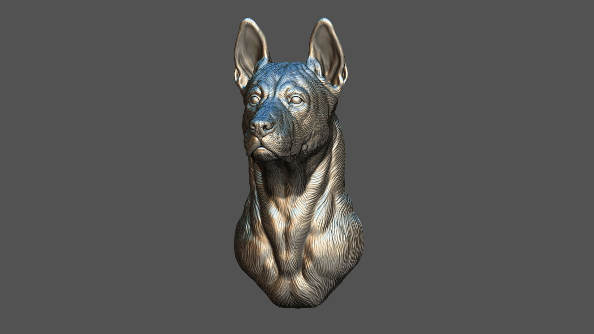 Thai Ridgeback dog head 3D print model_3