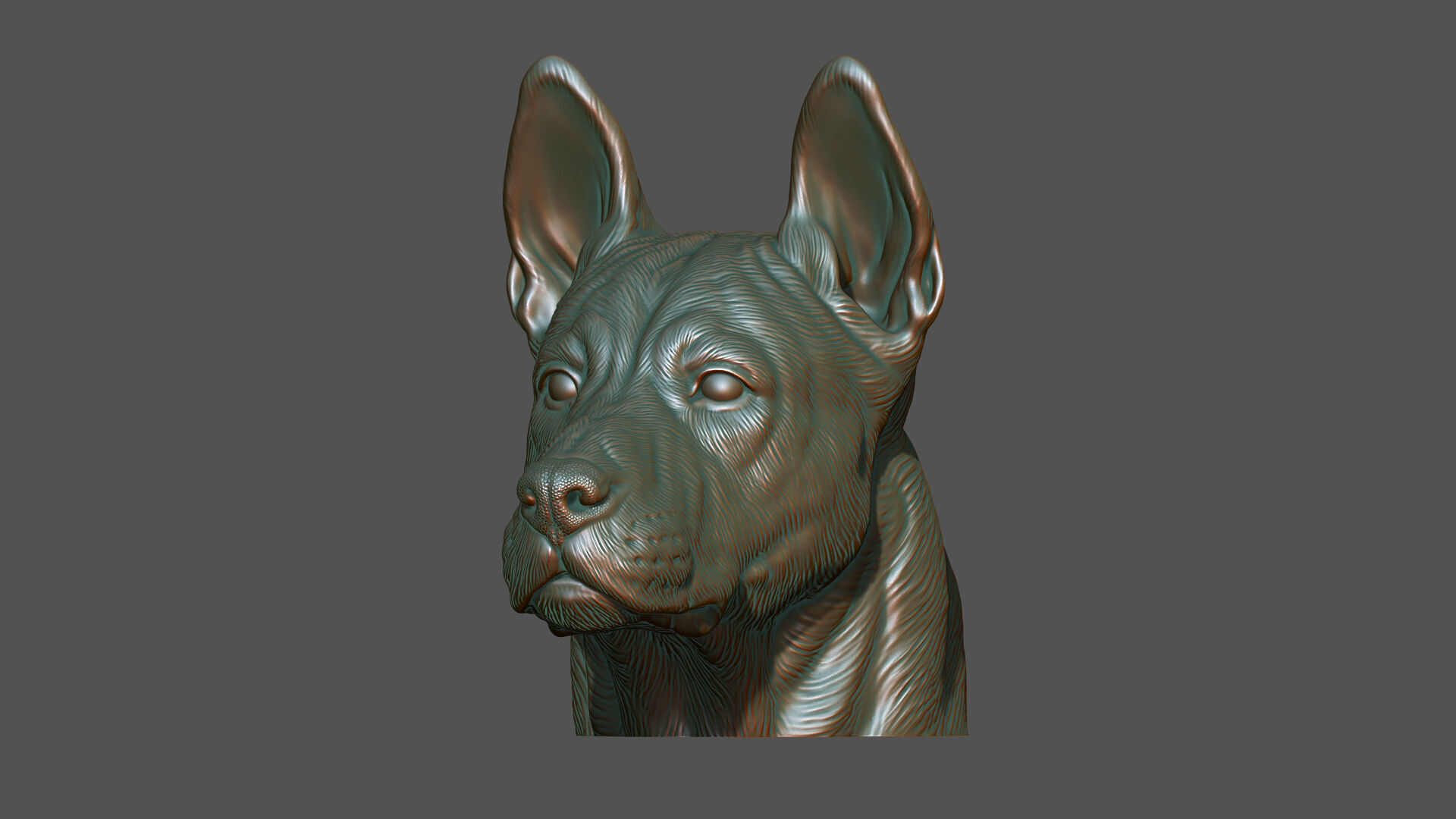 Thai Ridgeback dog head 3D print model_13