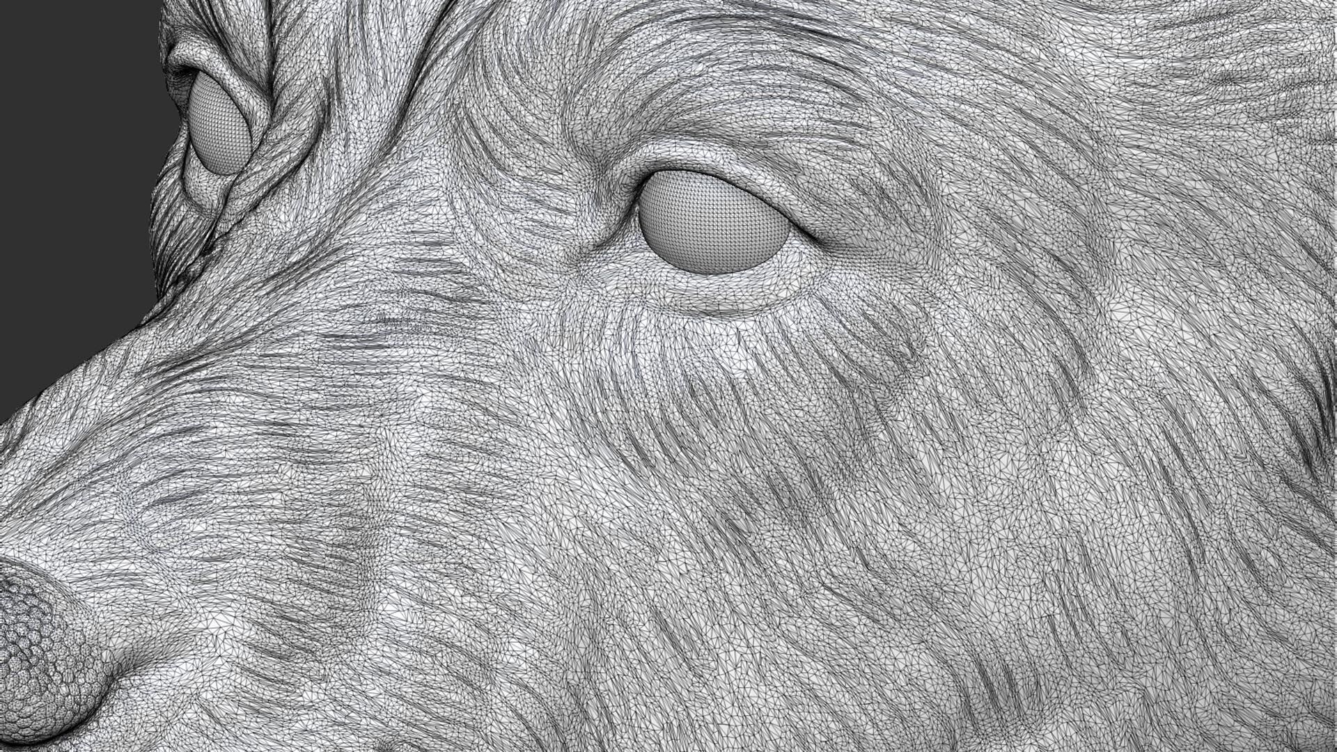 Thai Ridgeback dog head 3D print model_27