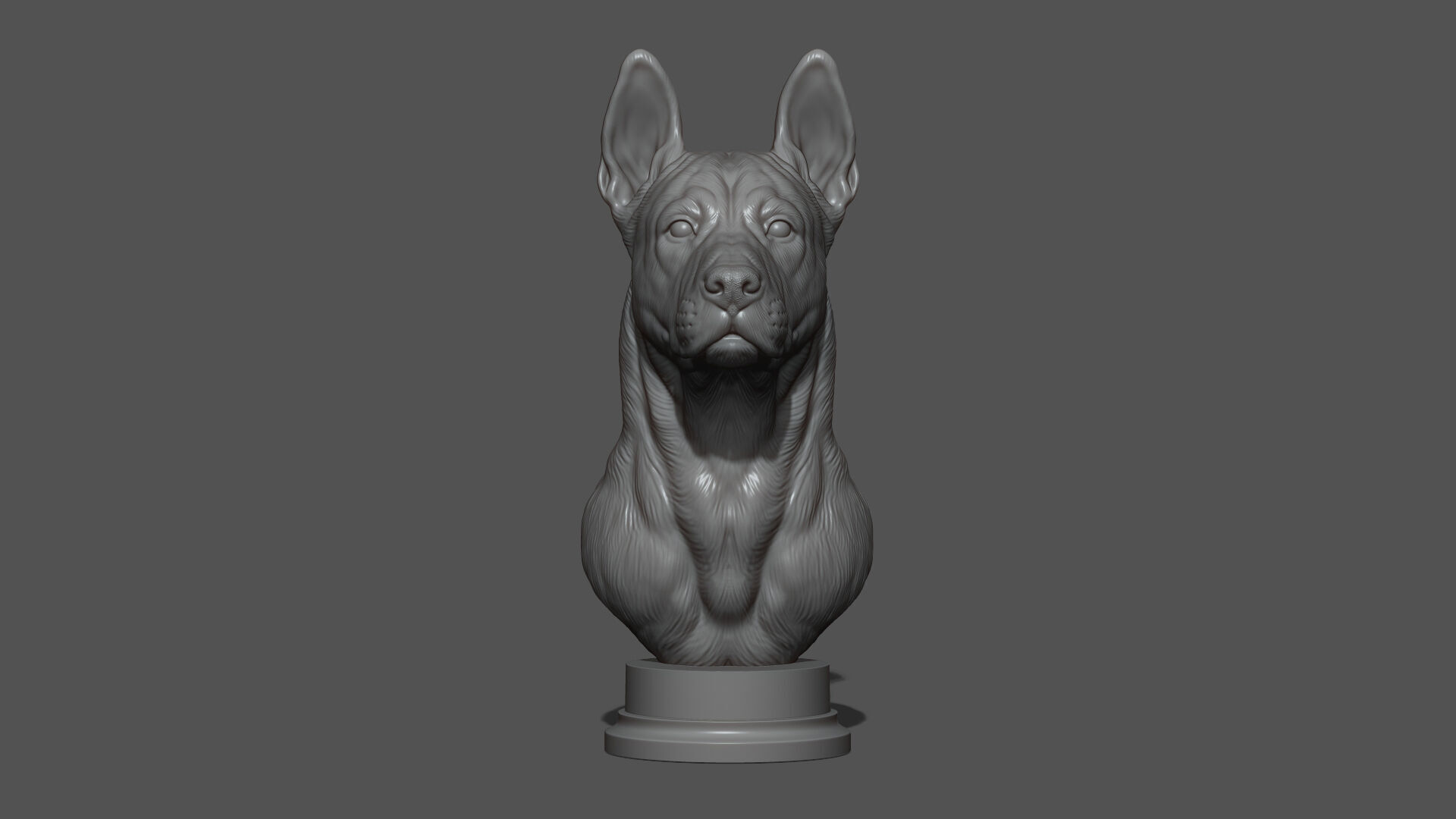 Thai Ridgeback dog head 3D print model_17