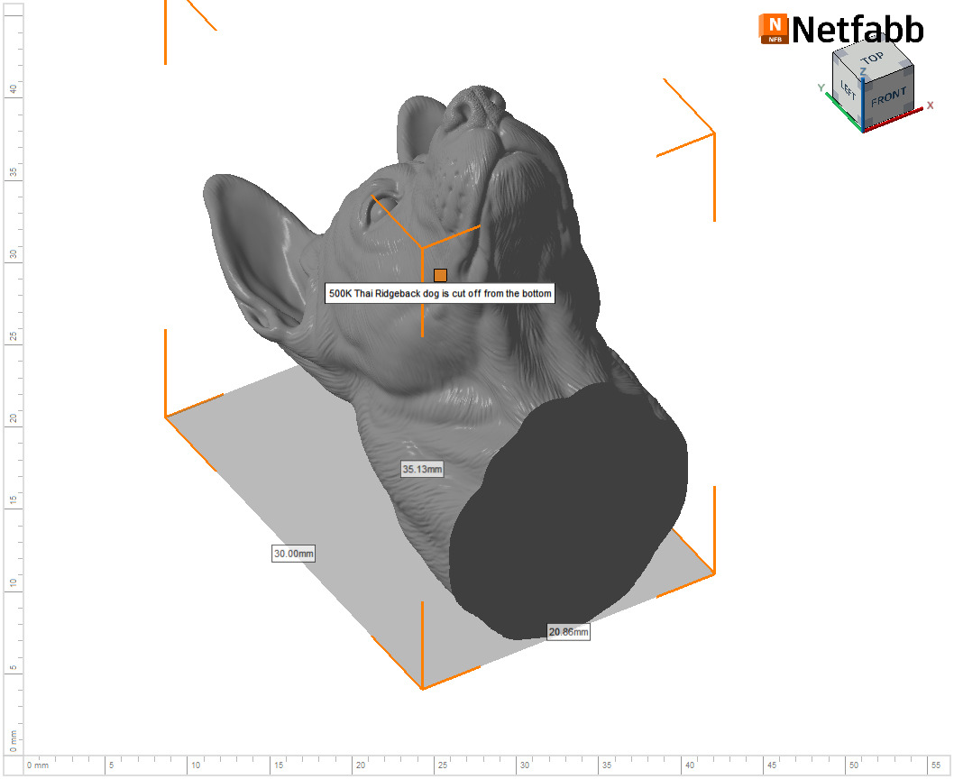 Thai Ridgeback dog head 3D print model_25